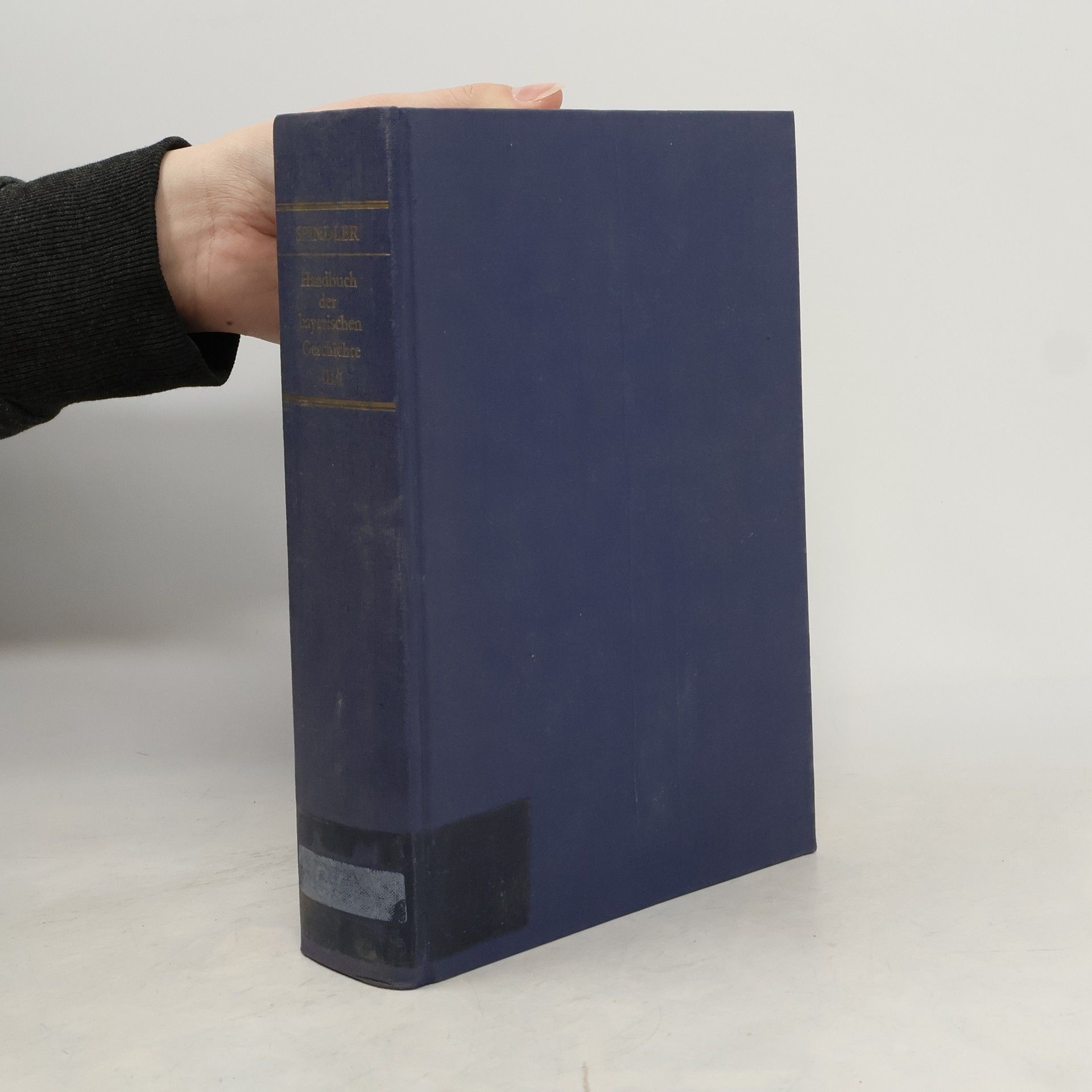 Max Spindler Handbuch der bayerischen Geschichte 3