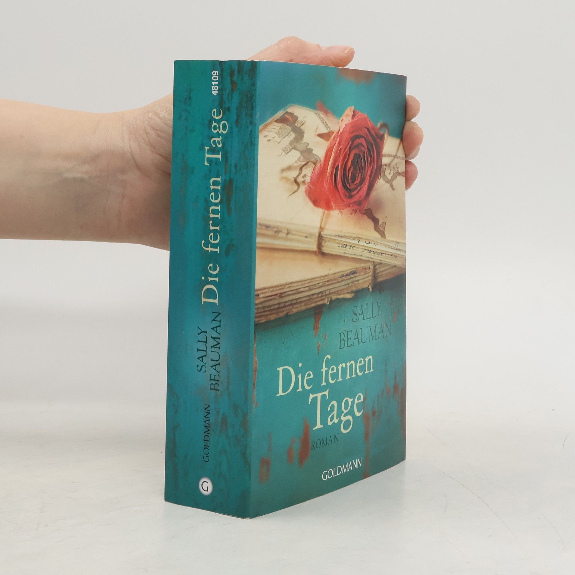 Sally Beauman Die fernen Tage