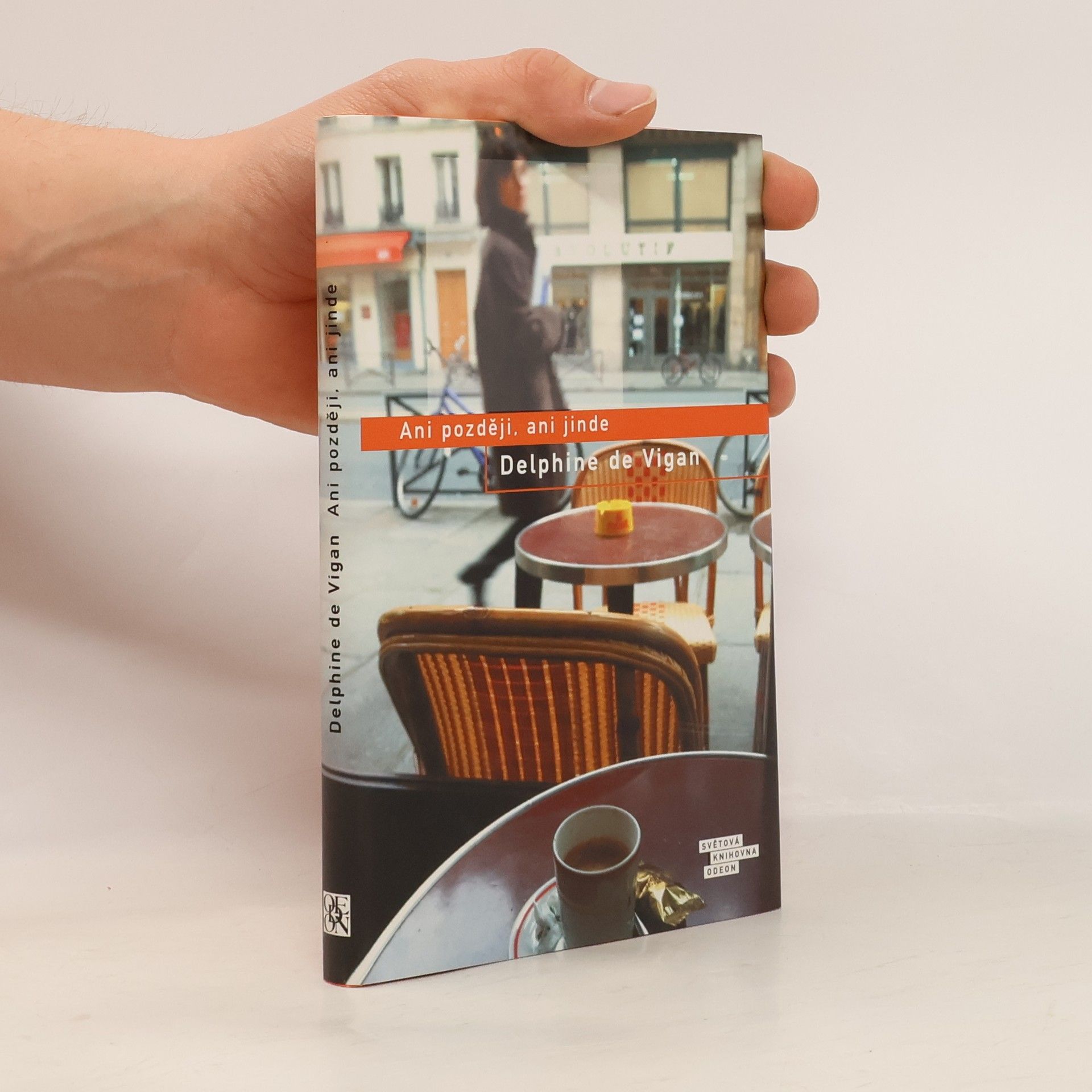 Delphine de Vigan Ani později, ani jinde