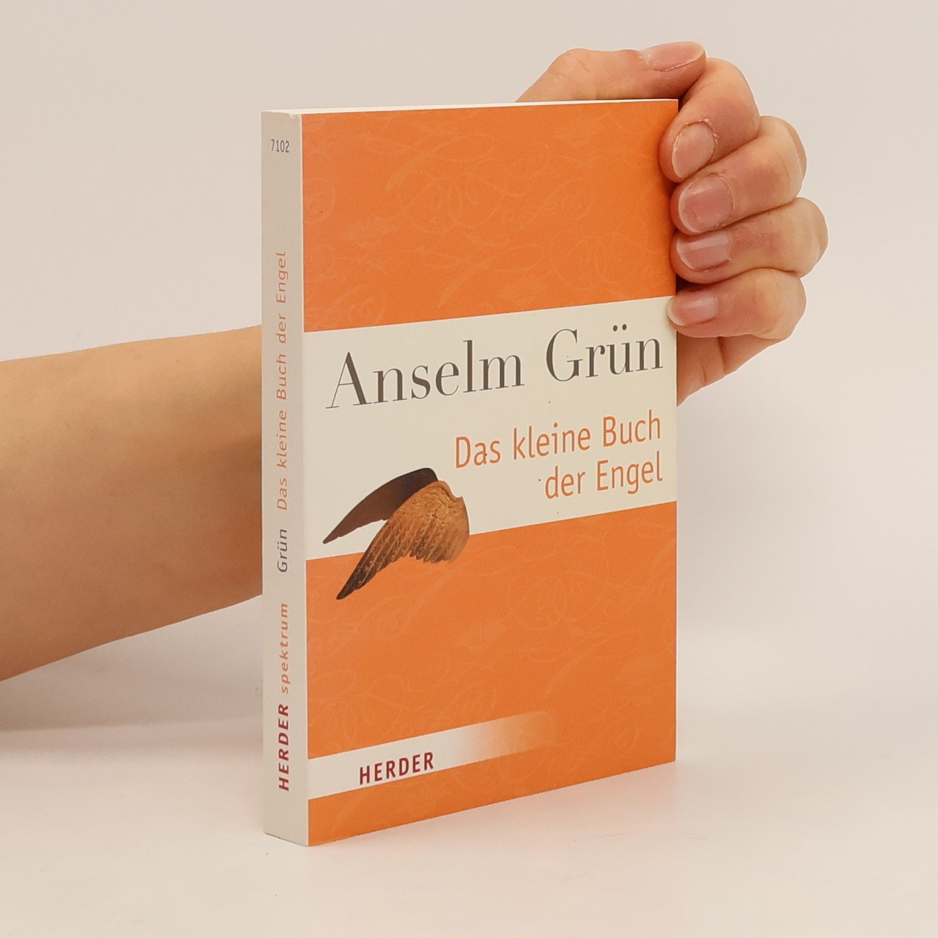 Anselm Grün Das kleine Buch der Engel