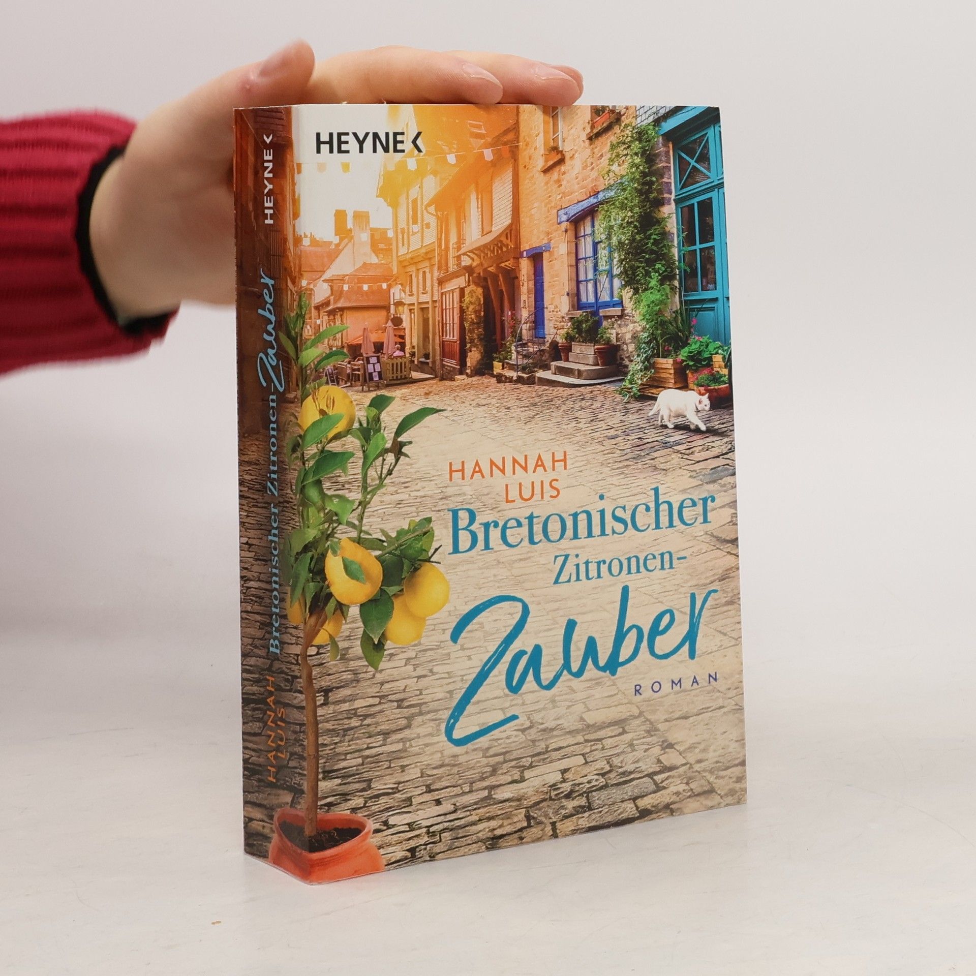 Hannah Luis Bretonischer Zitronen-Zauber