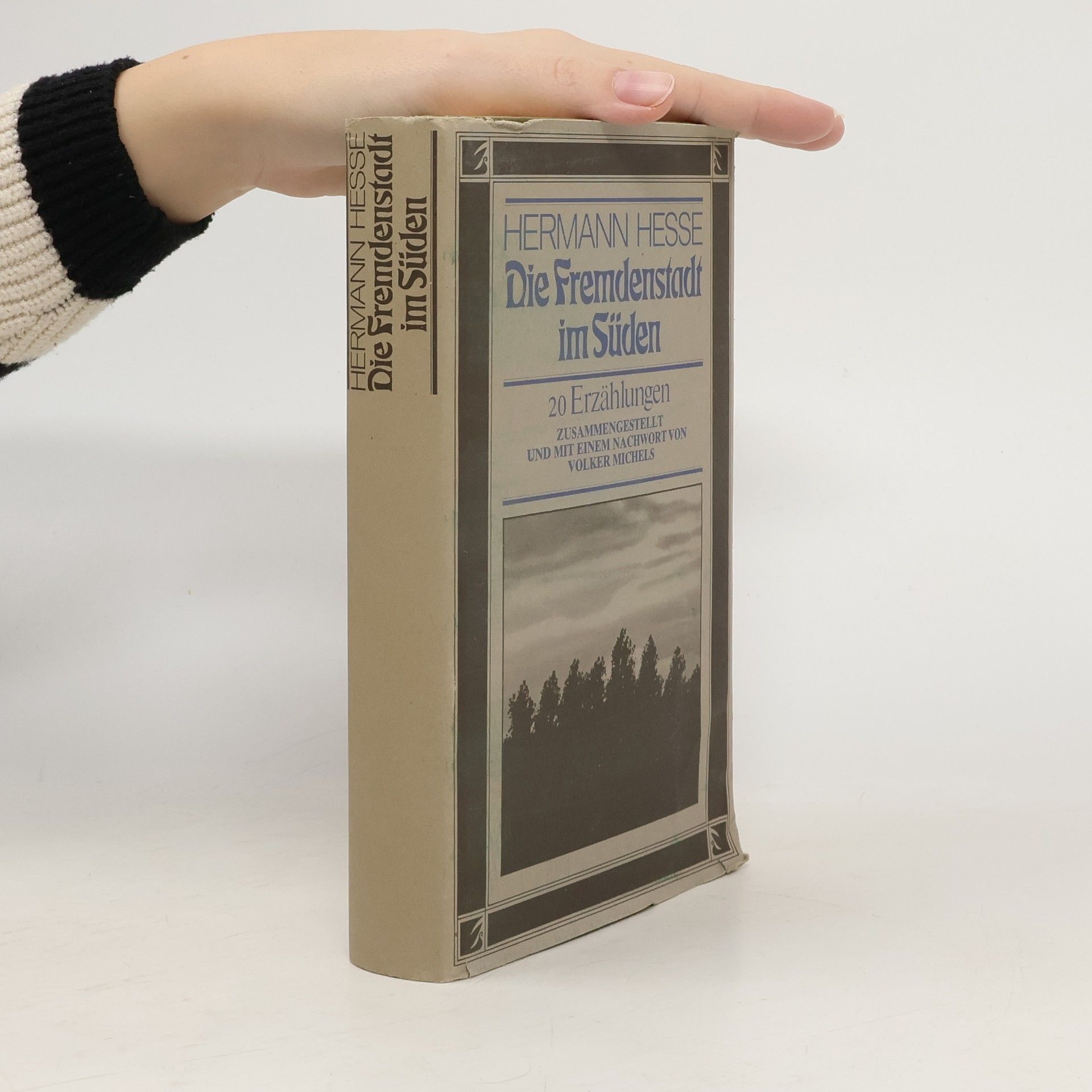 Hermann Hesse Die Fremdenstadt im Süden