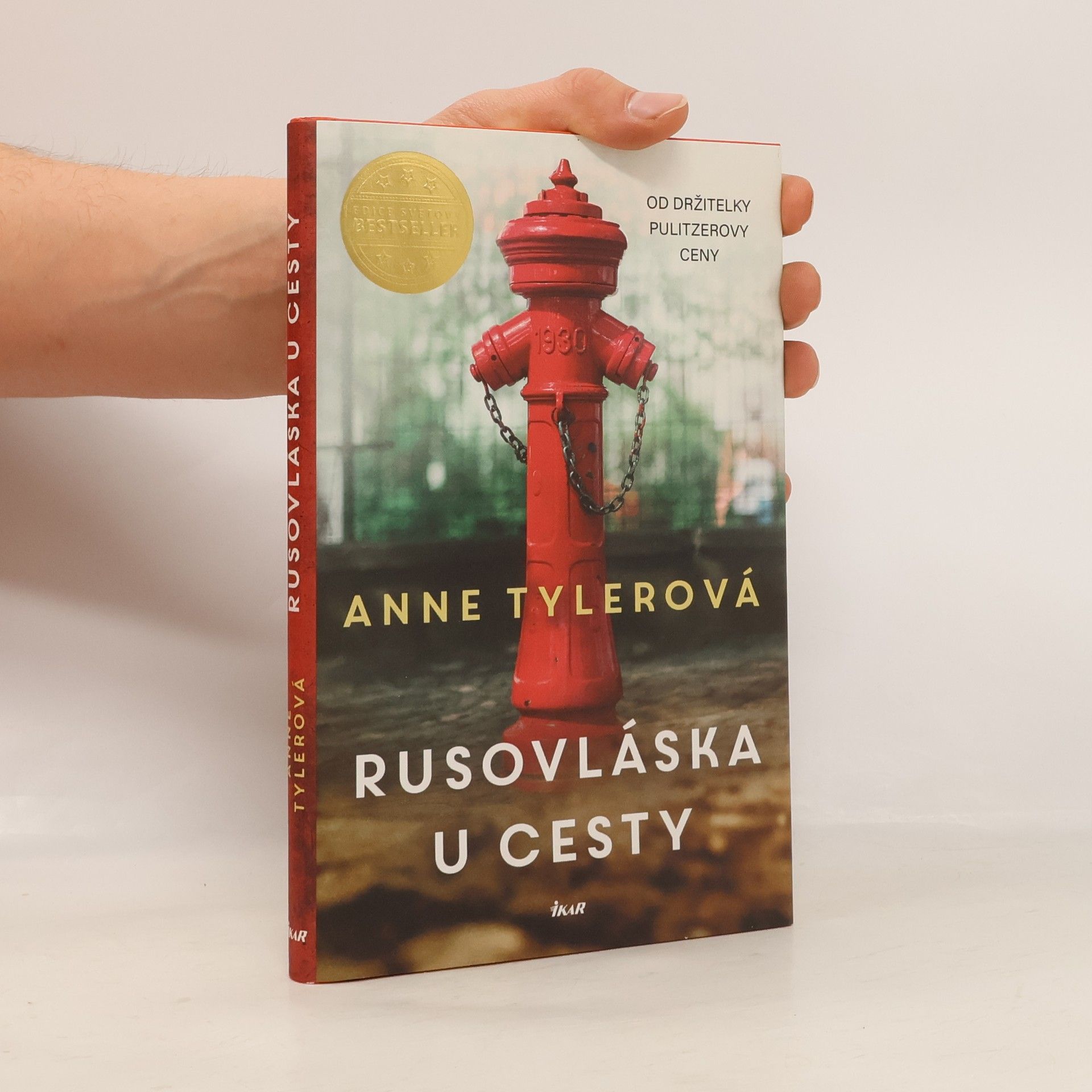 Anne Tyler Rusovláska u cesty
