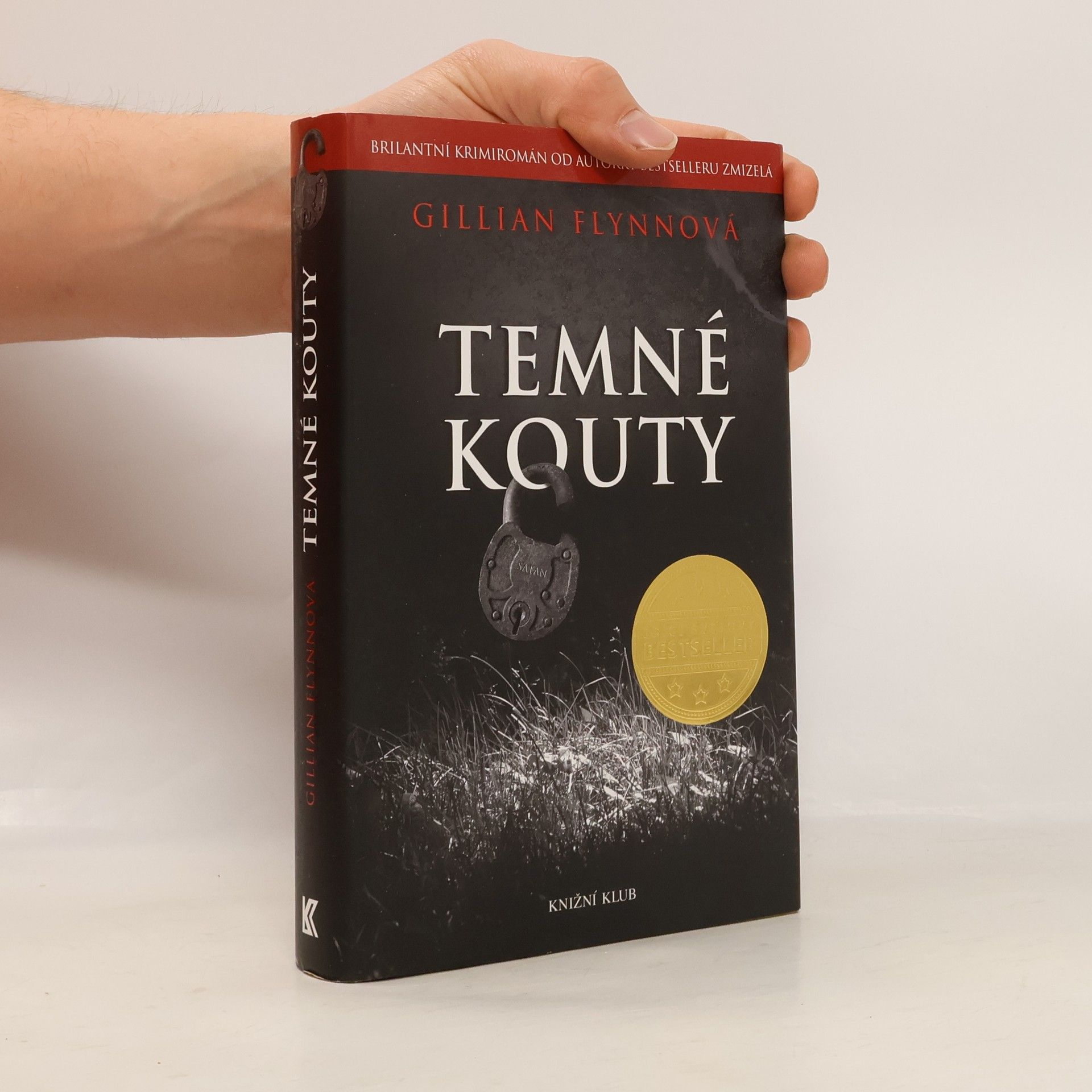 Gillian Flynn Temné kouty