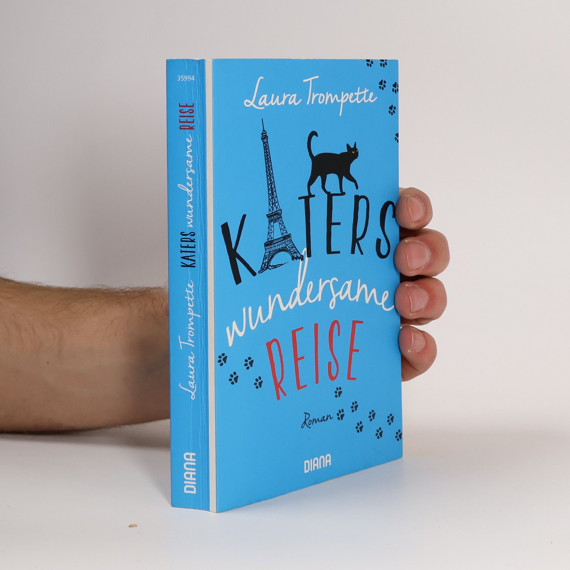 Katers wundersame Reise