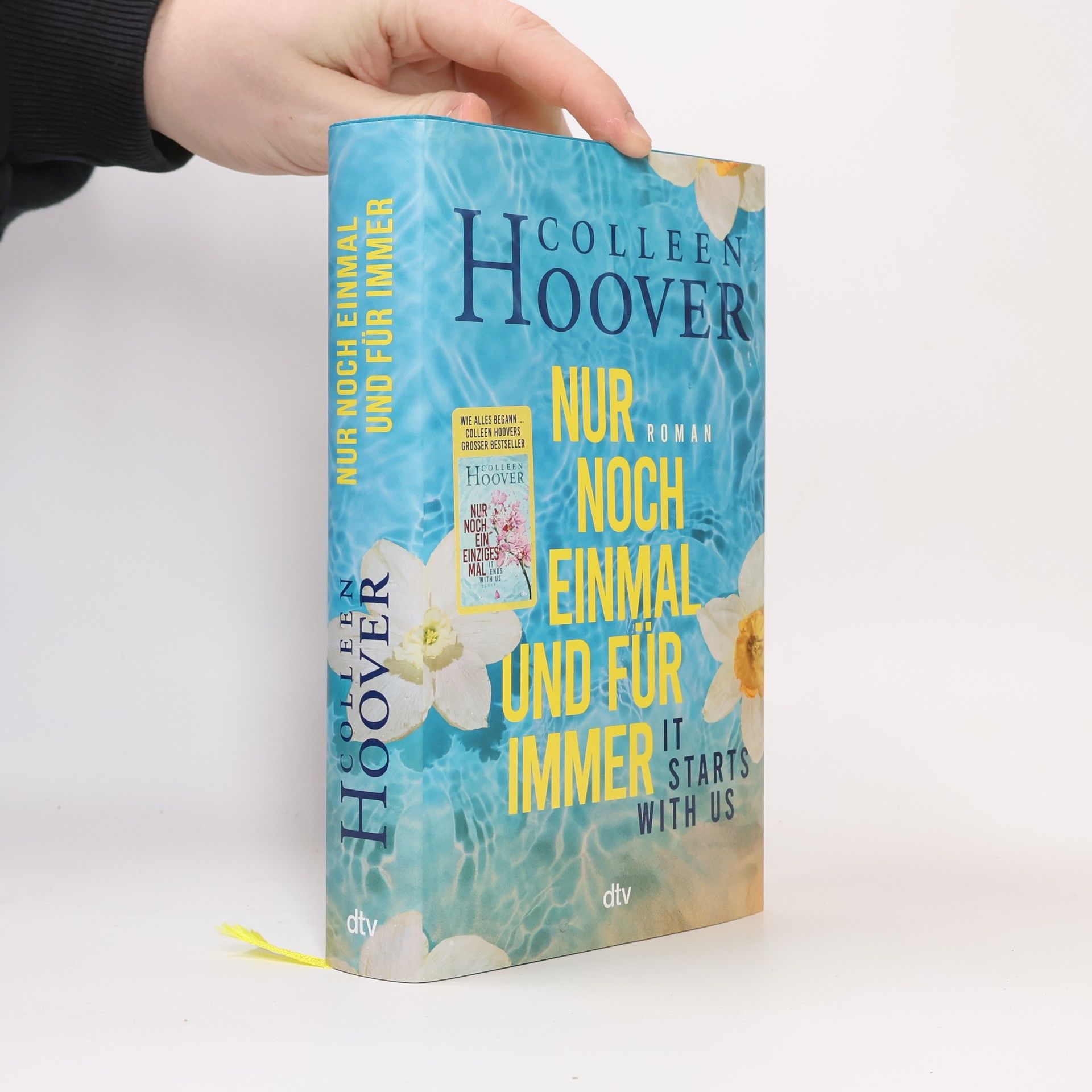 Colleen Hoover Nur noch einmal und für immer