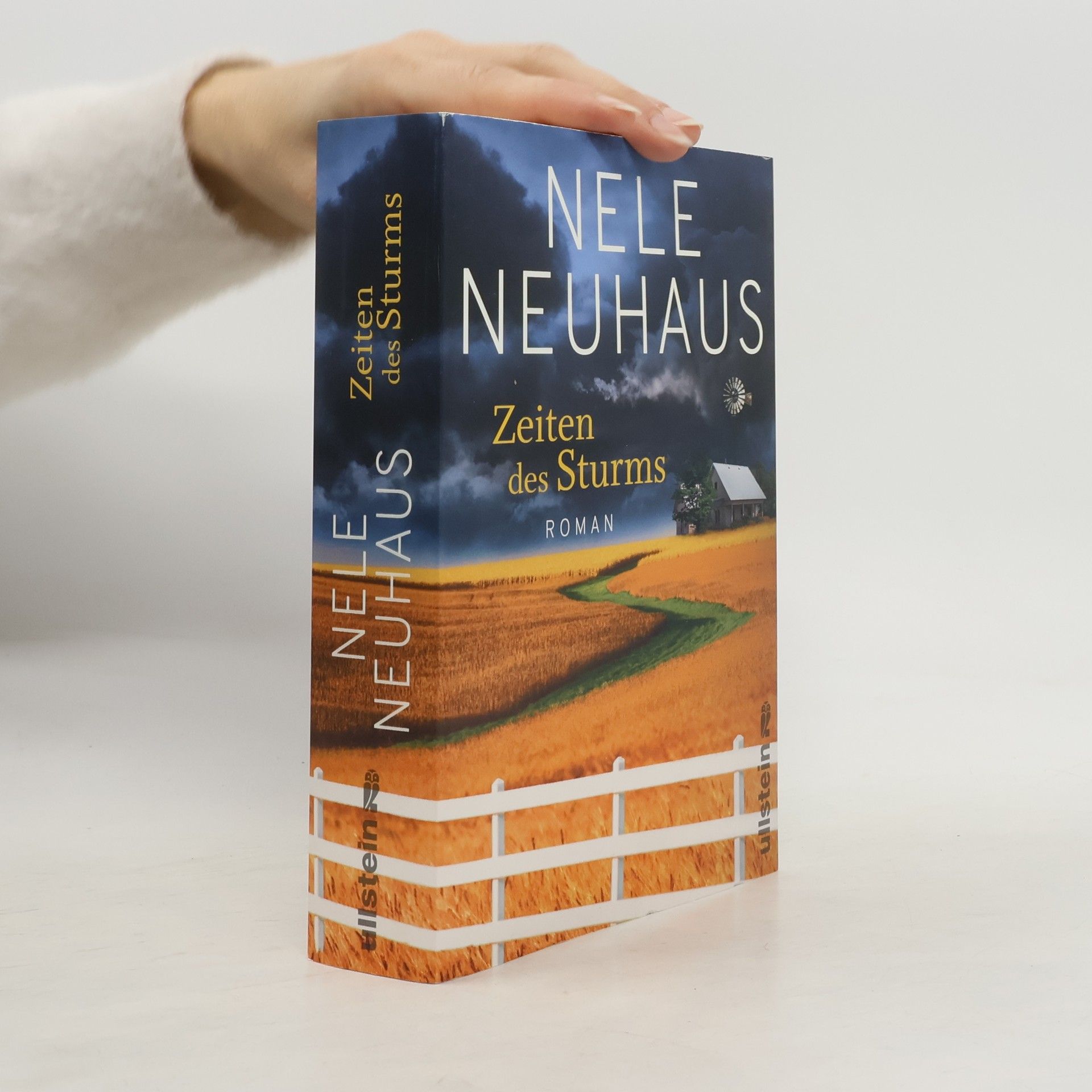 Cornelia Löwenberg Zeiten des Sturms