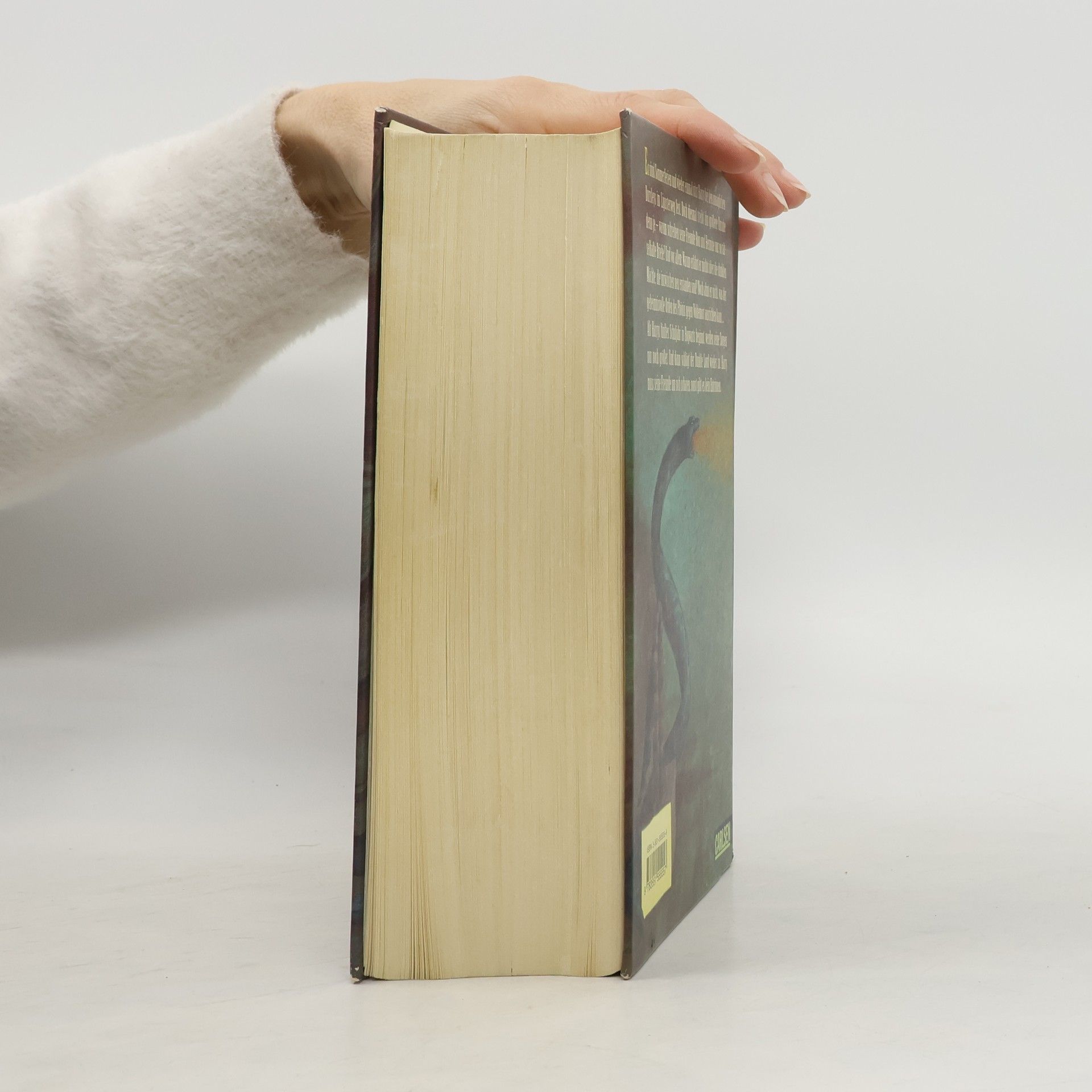 J. K. Rowling Harry Potter und der Orden des Phönix