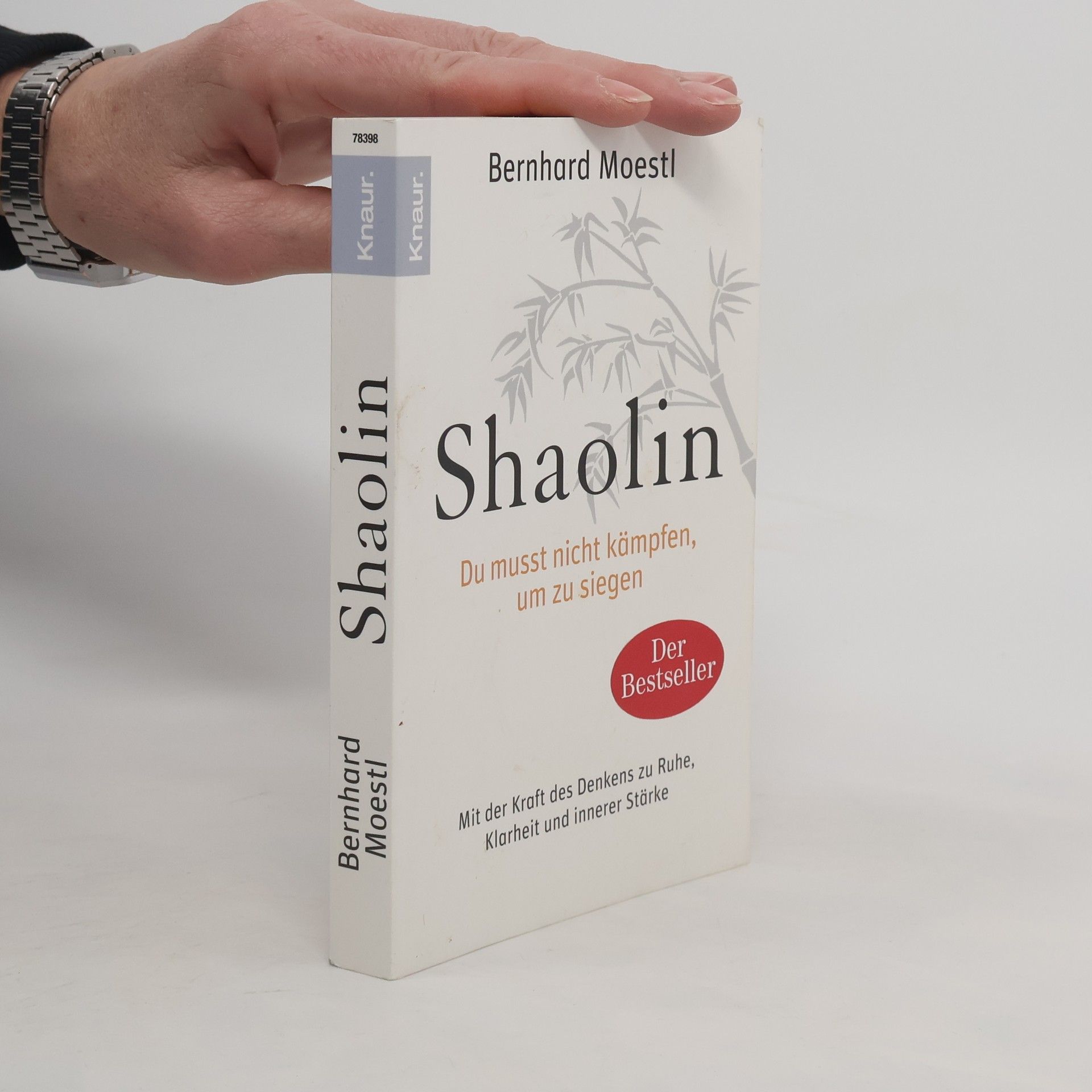 Bernhard Moestl Shaolin