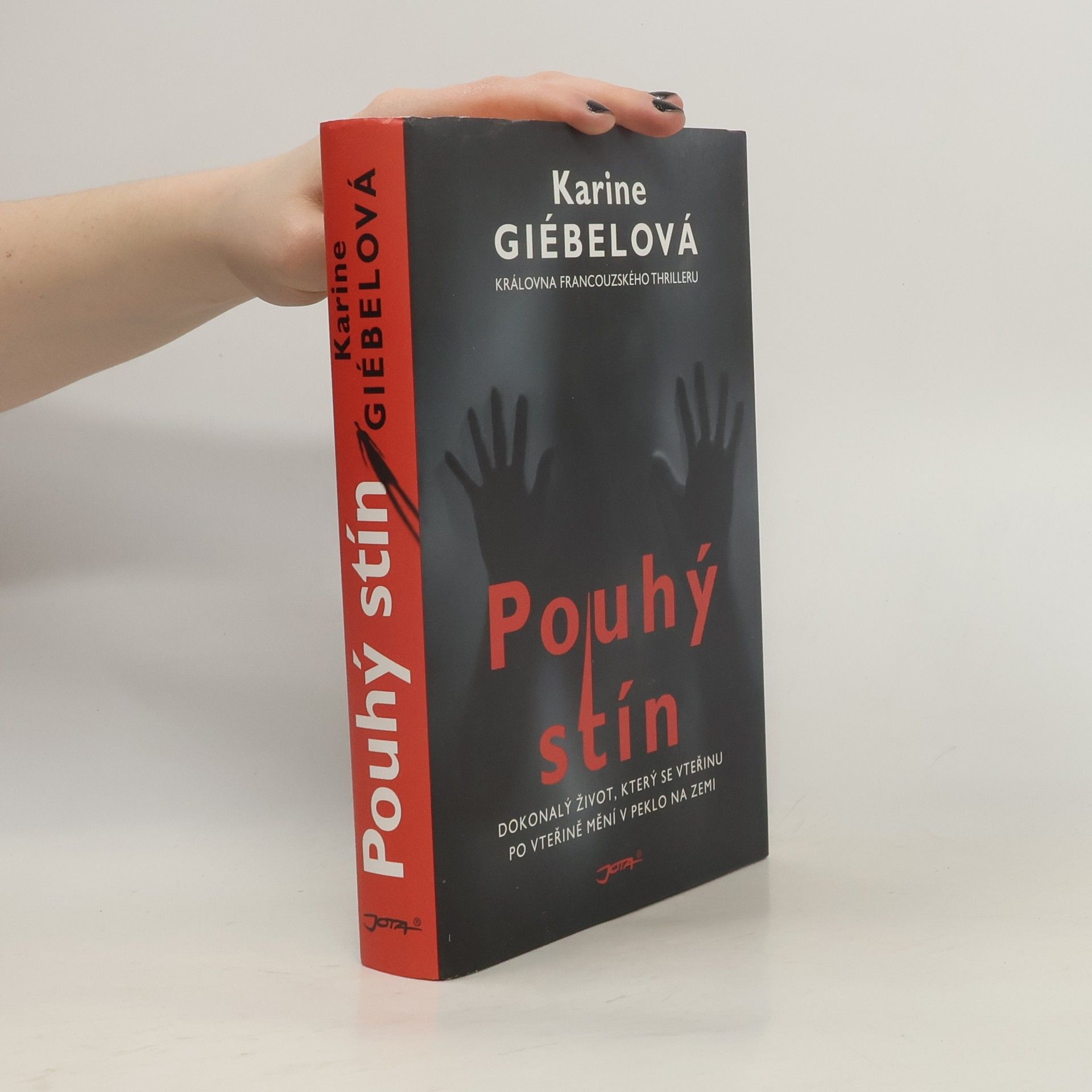 Karine Giebel Pouhý stín