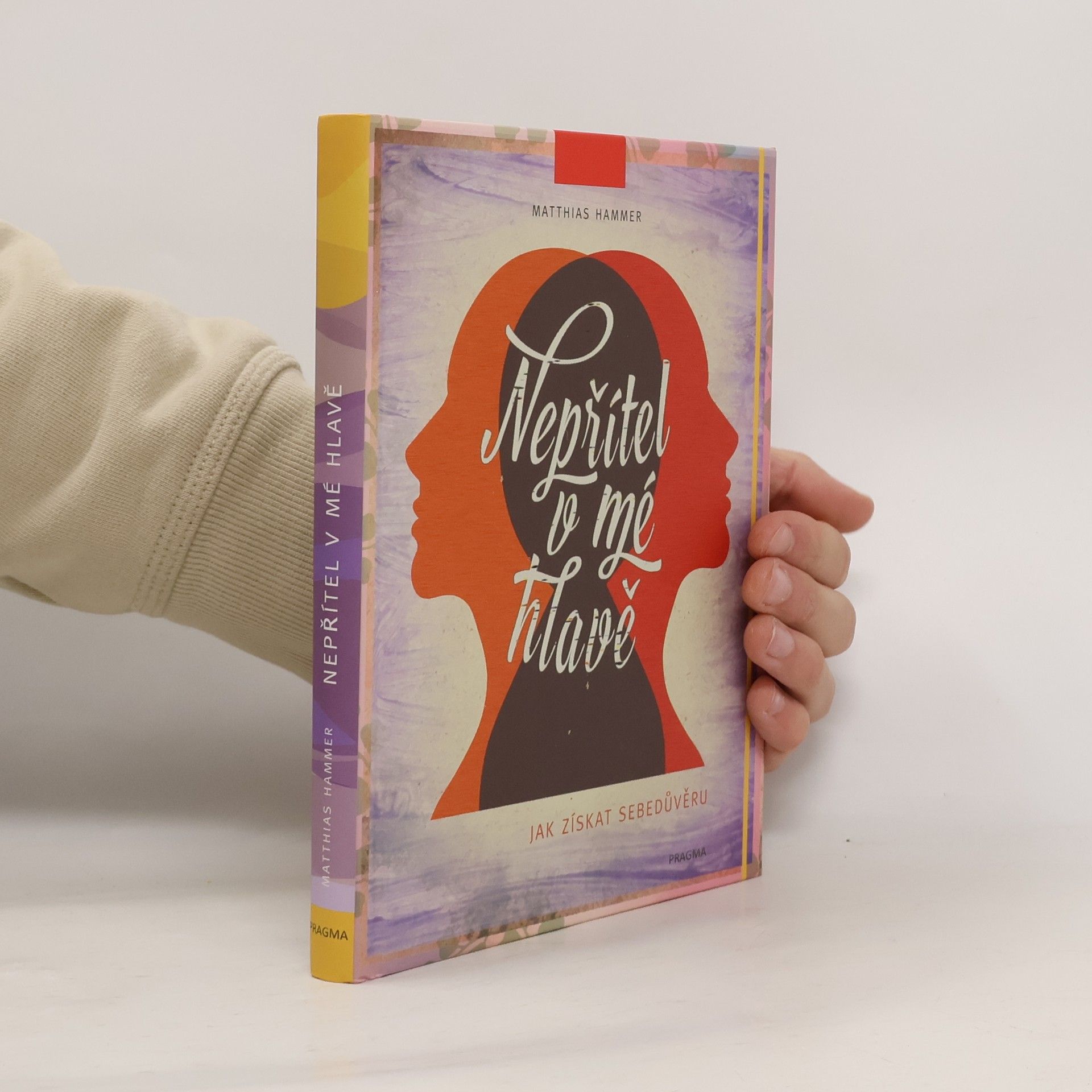 Matthias Hammer Nepřítel v mé hlavě