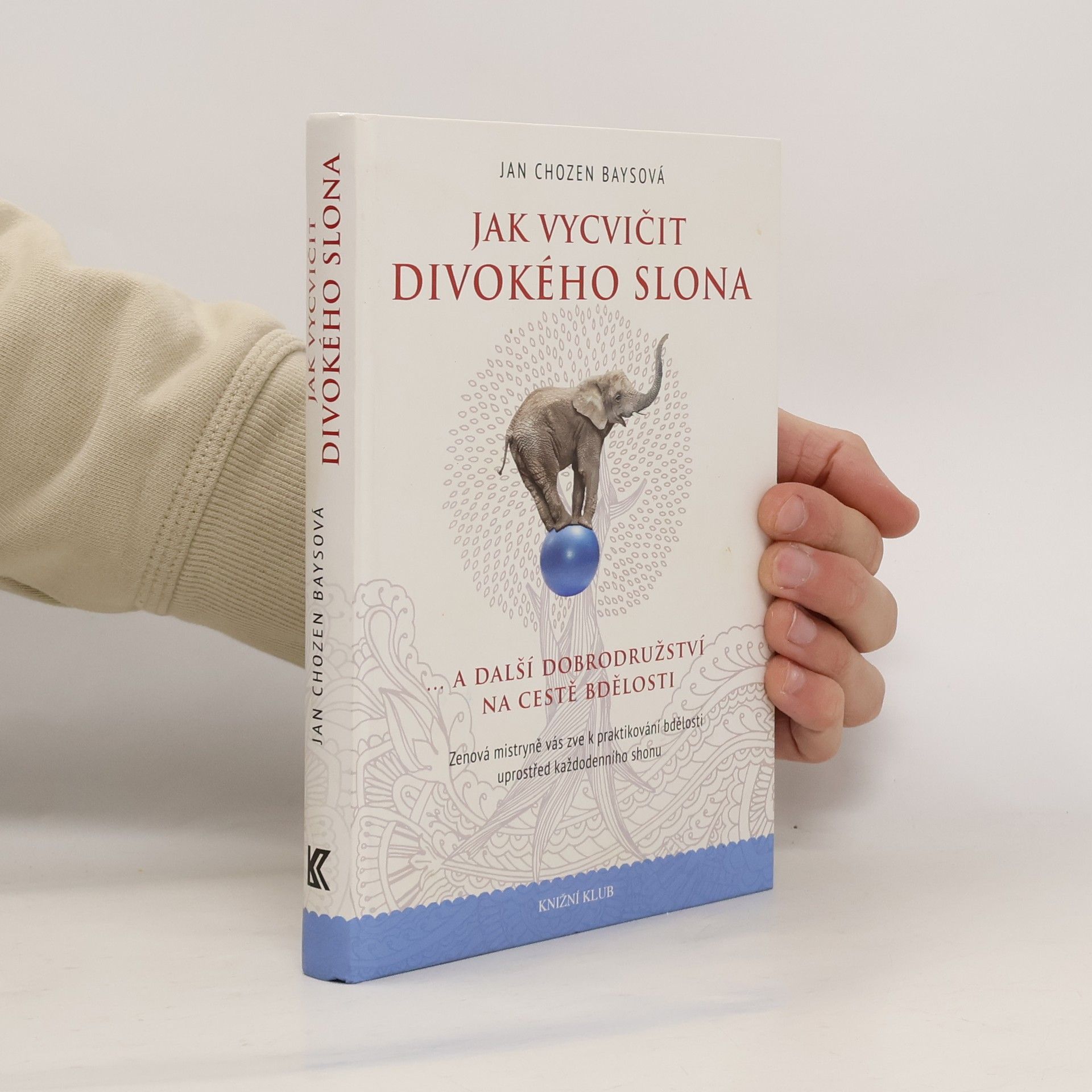 Jan Chozen Bays Jak vycvičit divokého slona...a další dobrodružství na cestě bdělosti
