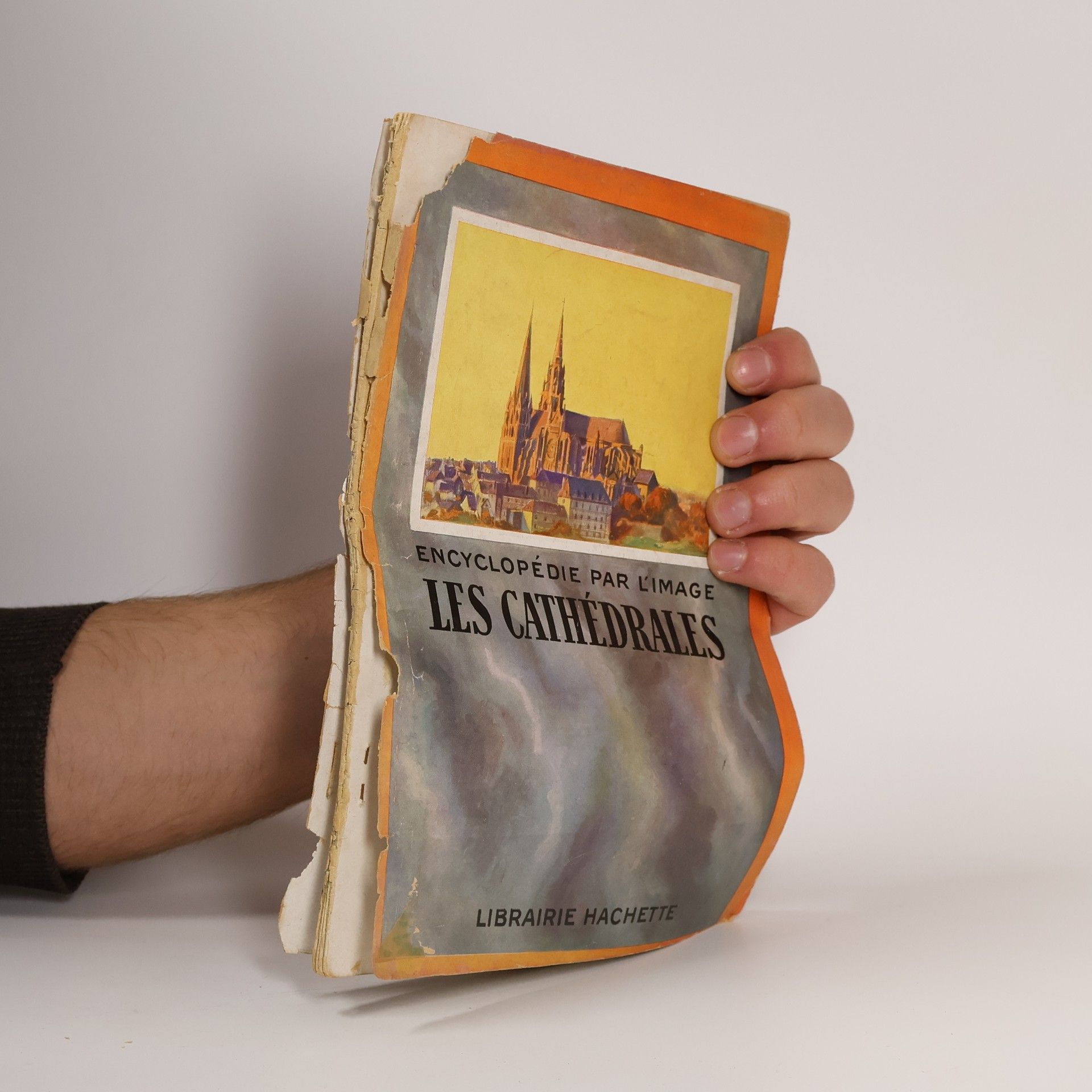 Kolektív autorov Encyclopédie par l'image. Les cathédrales françaises