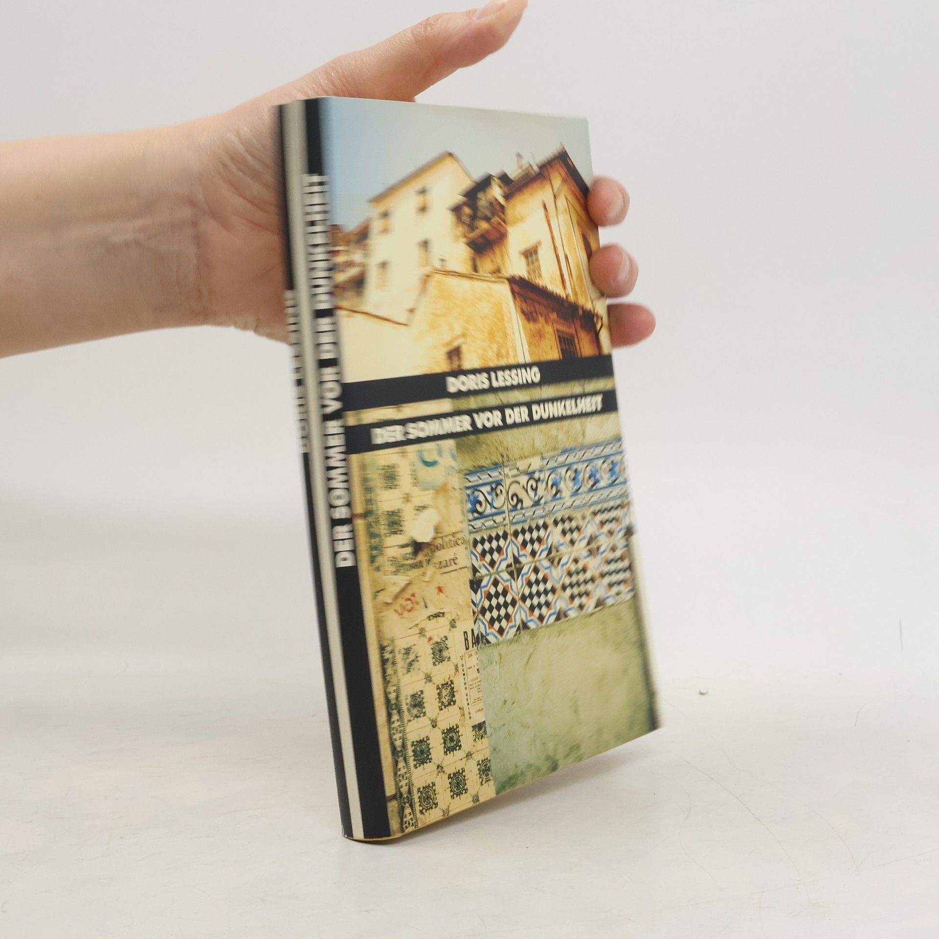 Doris Lessing Der Sommer vor der Dunkelheit