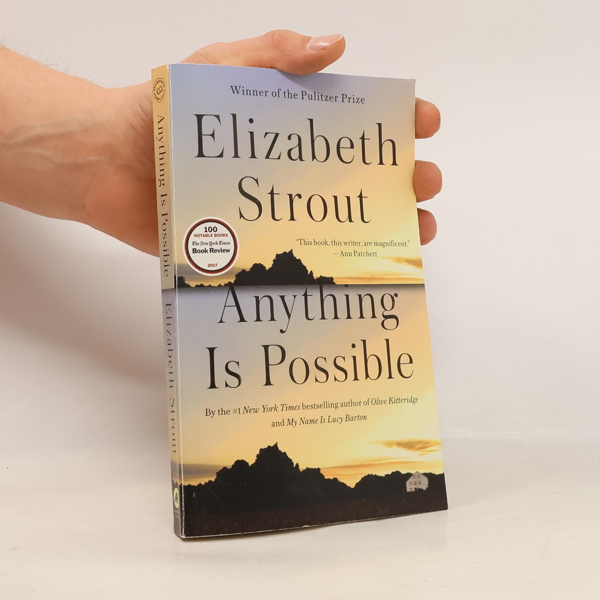 Elizabeth Strout Anything Is Possible