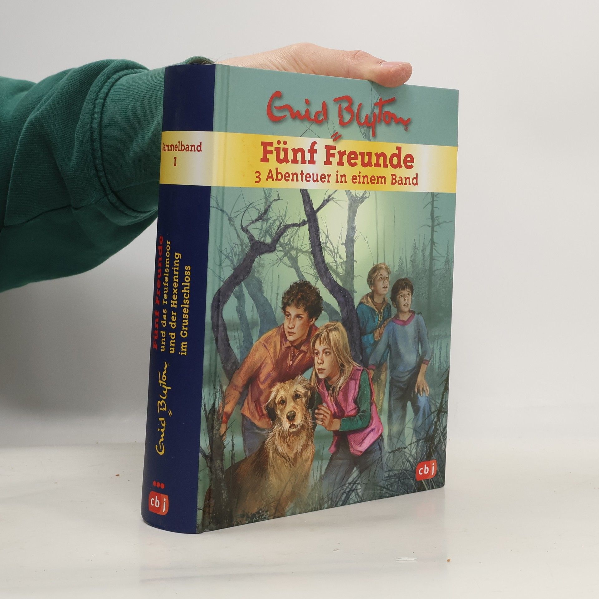 Enid Blyton Sammelband 1. Fünf Freunde. 3 Abenteuer in einem Band