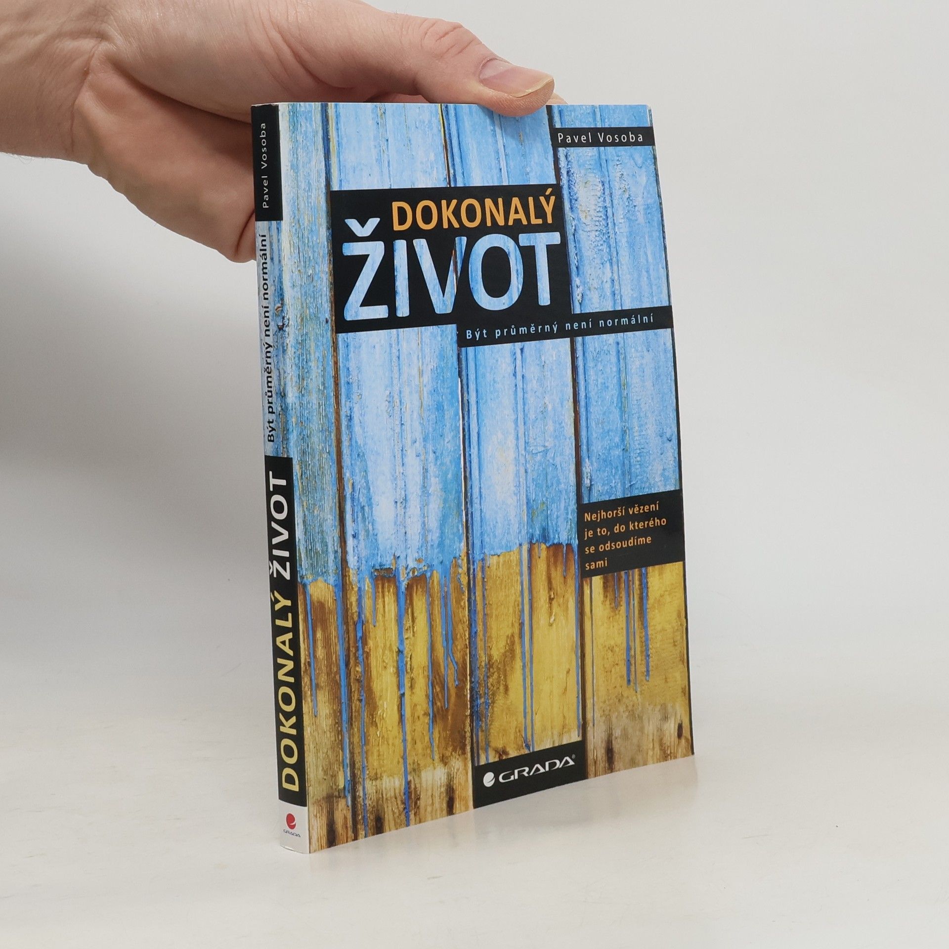 Pavel Vosoba Dokonalý život : být průměrný není normální