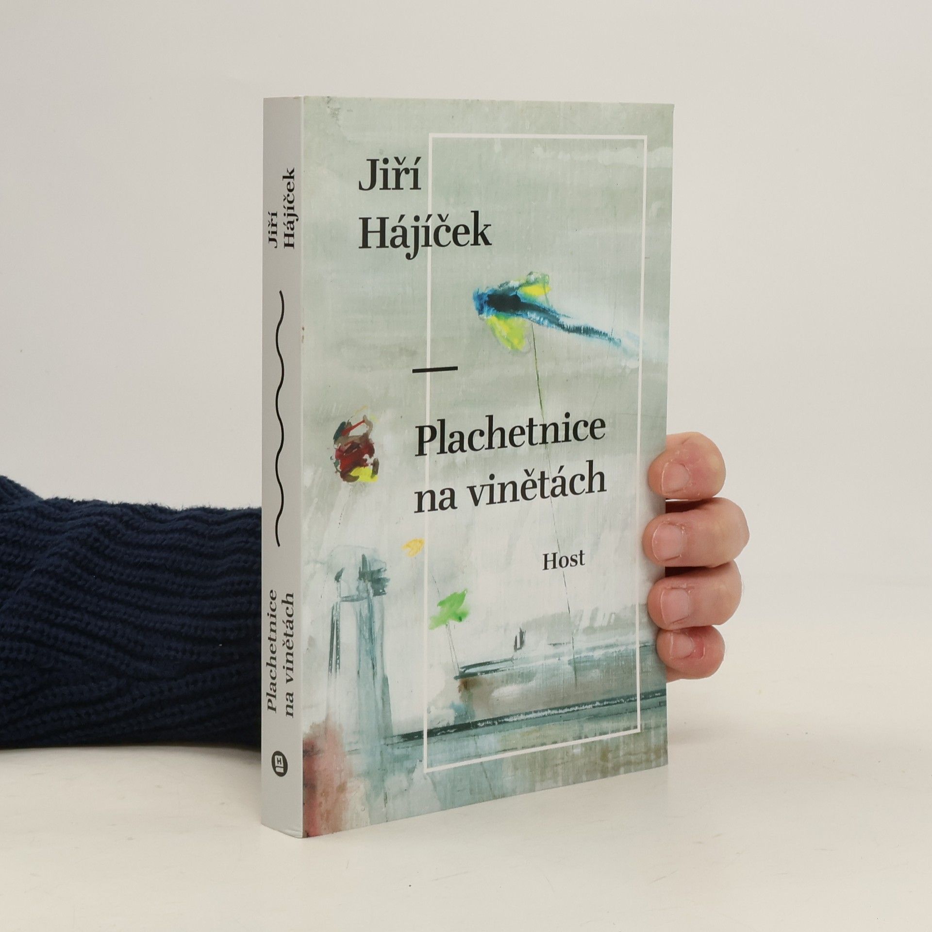 Jiří Hájíček Plachetnice na vinětách
