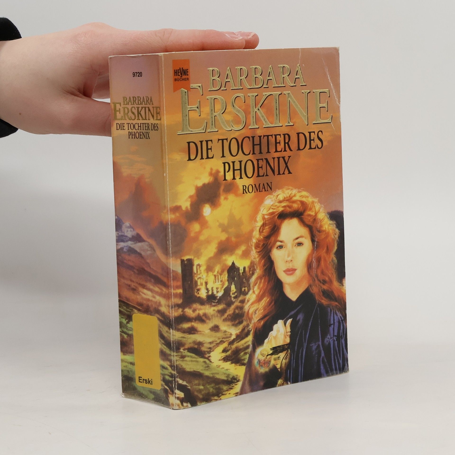 Barbara Erskine Die Tochter des Phoenix