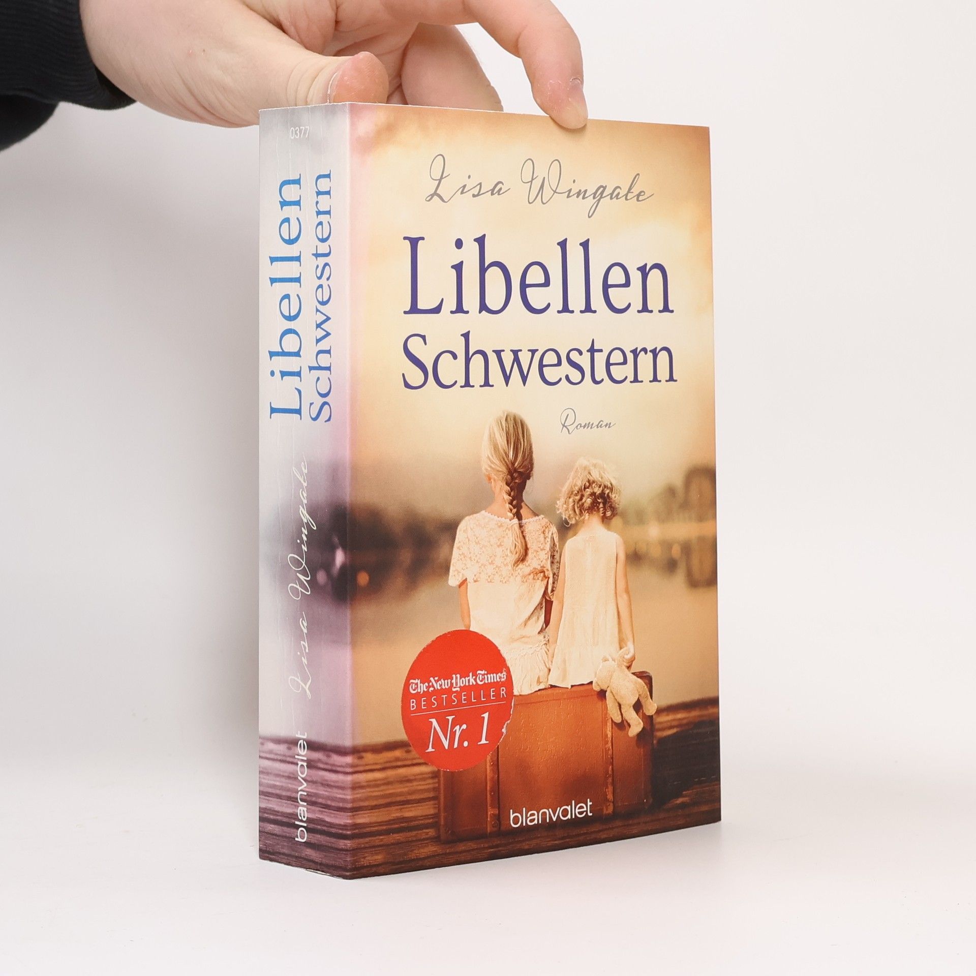 Lisa Wingate Libellenschwestern