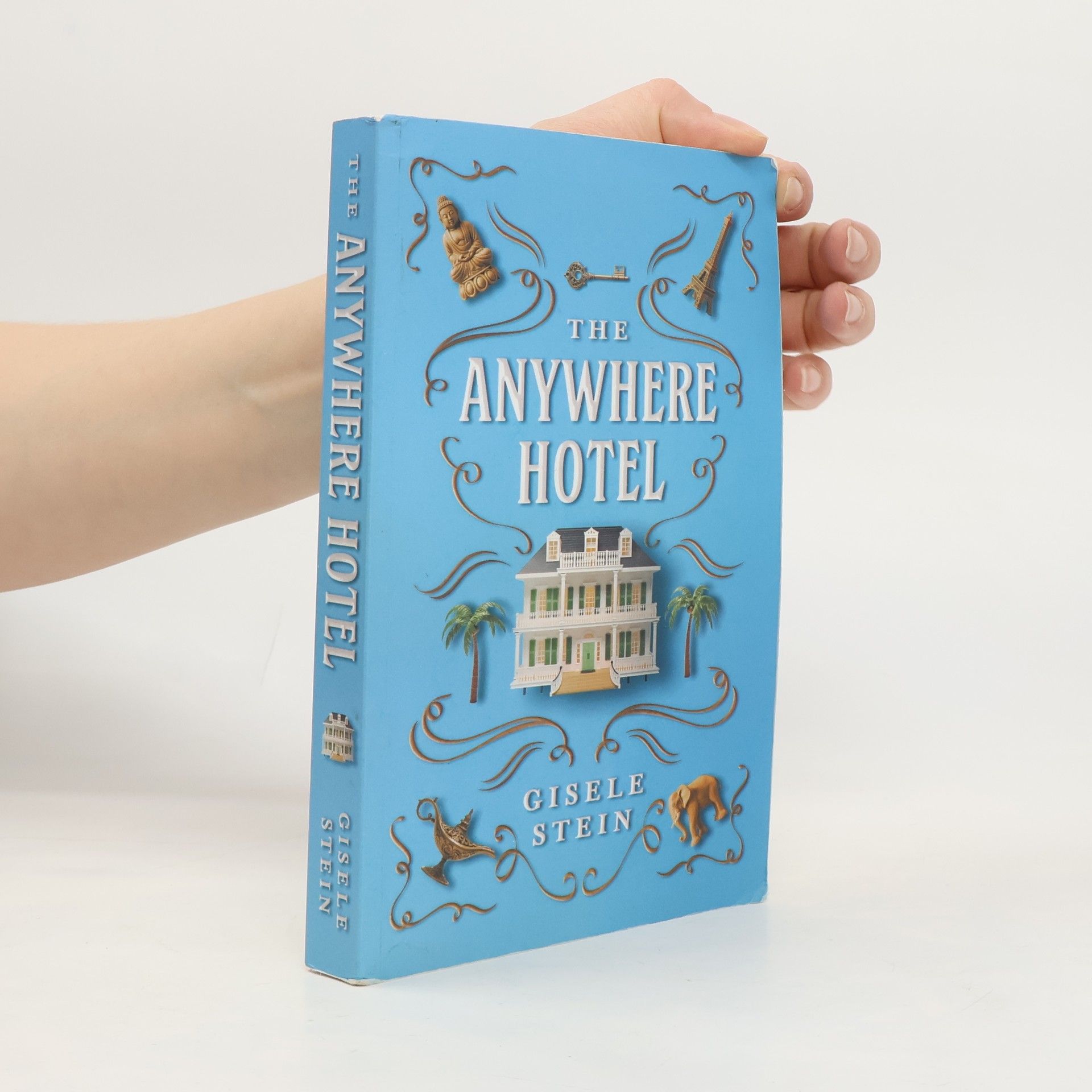 Gisele Stein The Anywhere Hotel