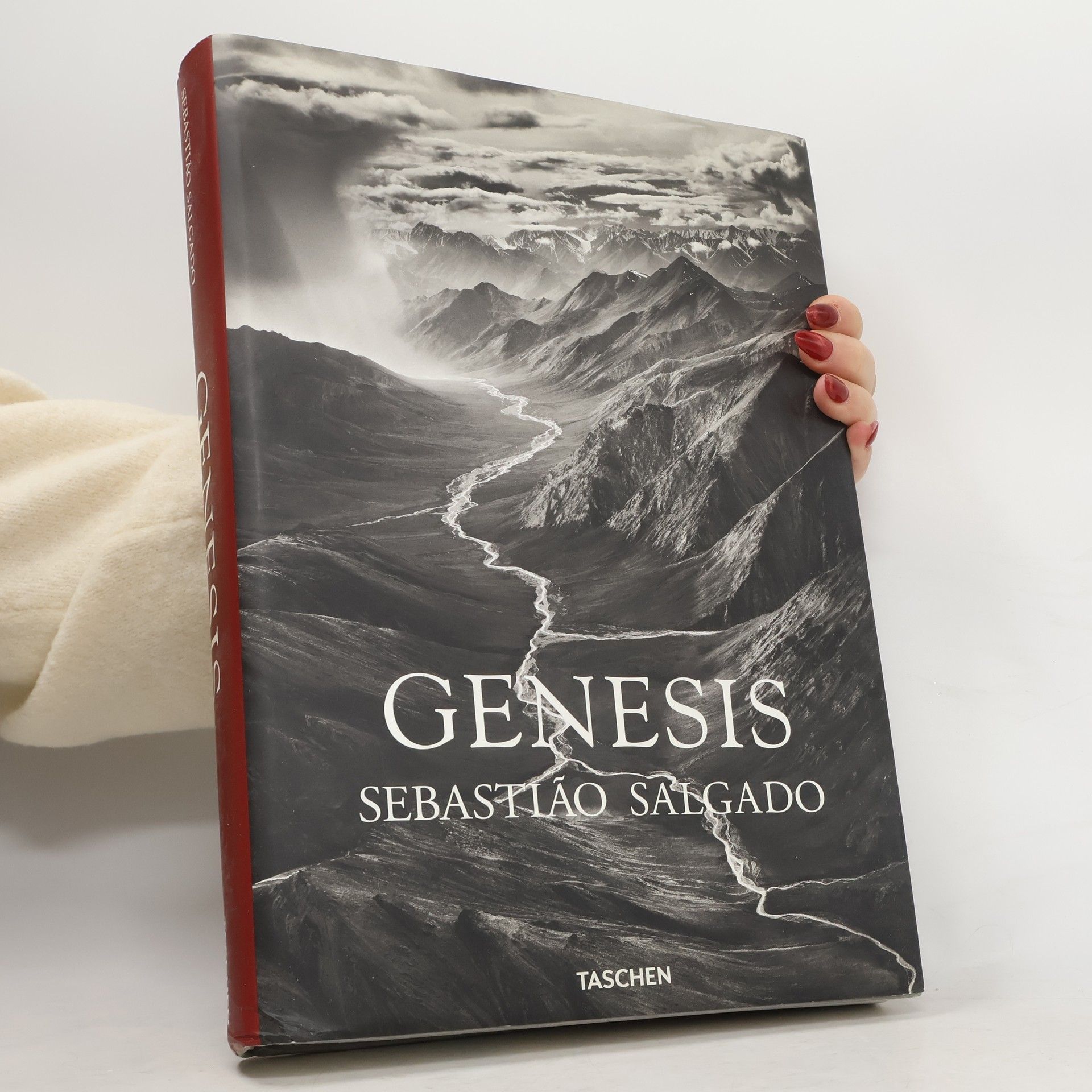Sebastião Salgado Genesis