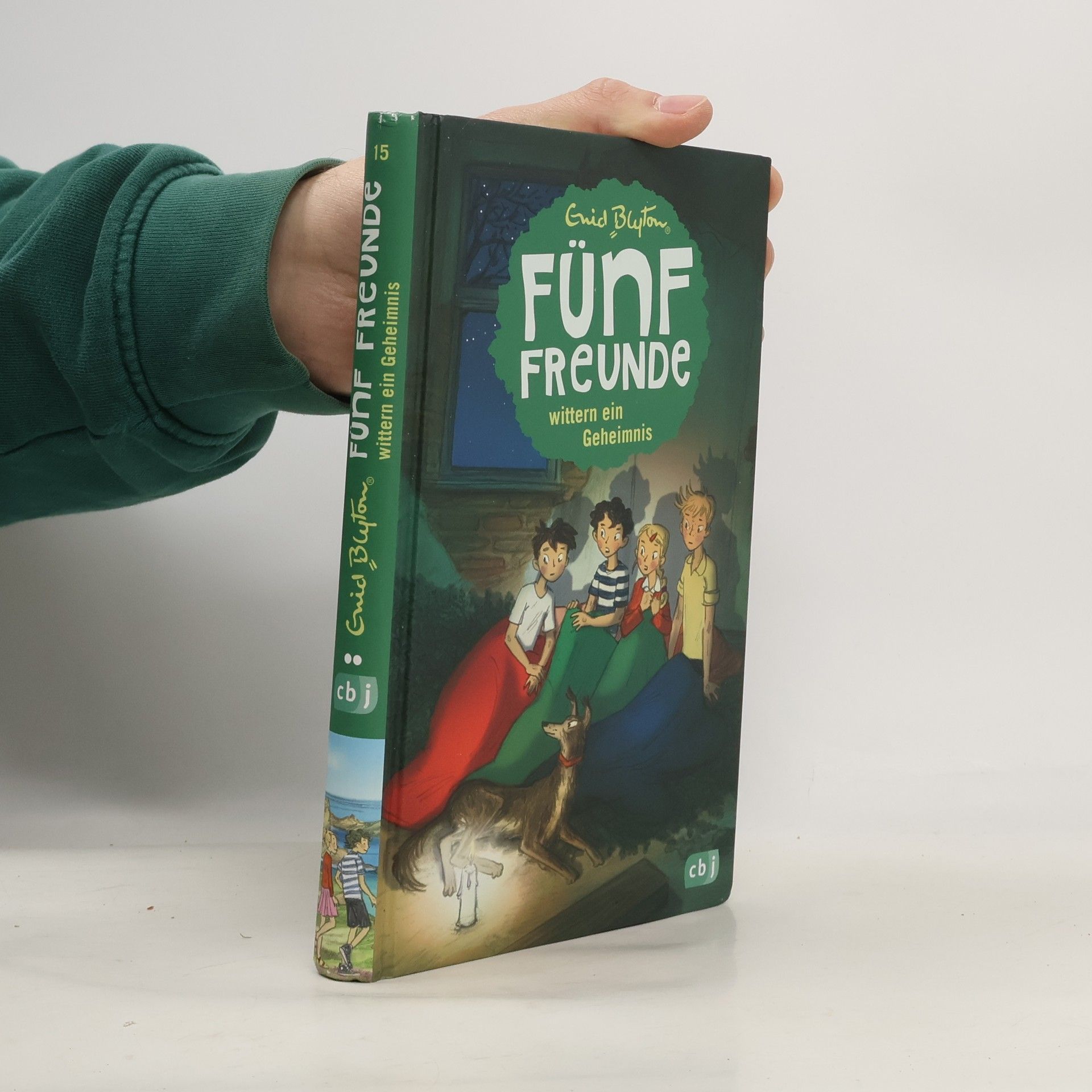 Enid Blyton Fünf Freunde wittern ein Geheimnis