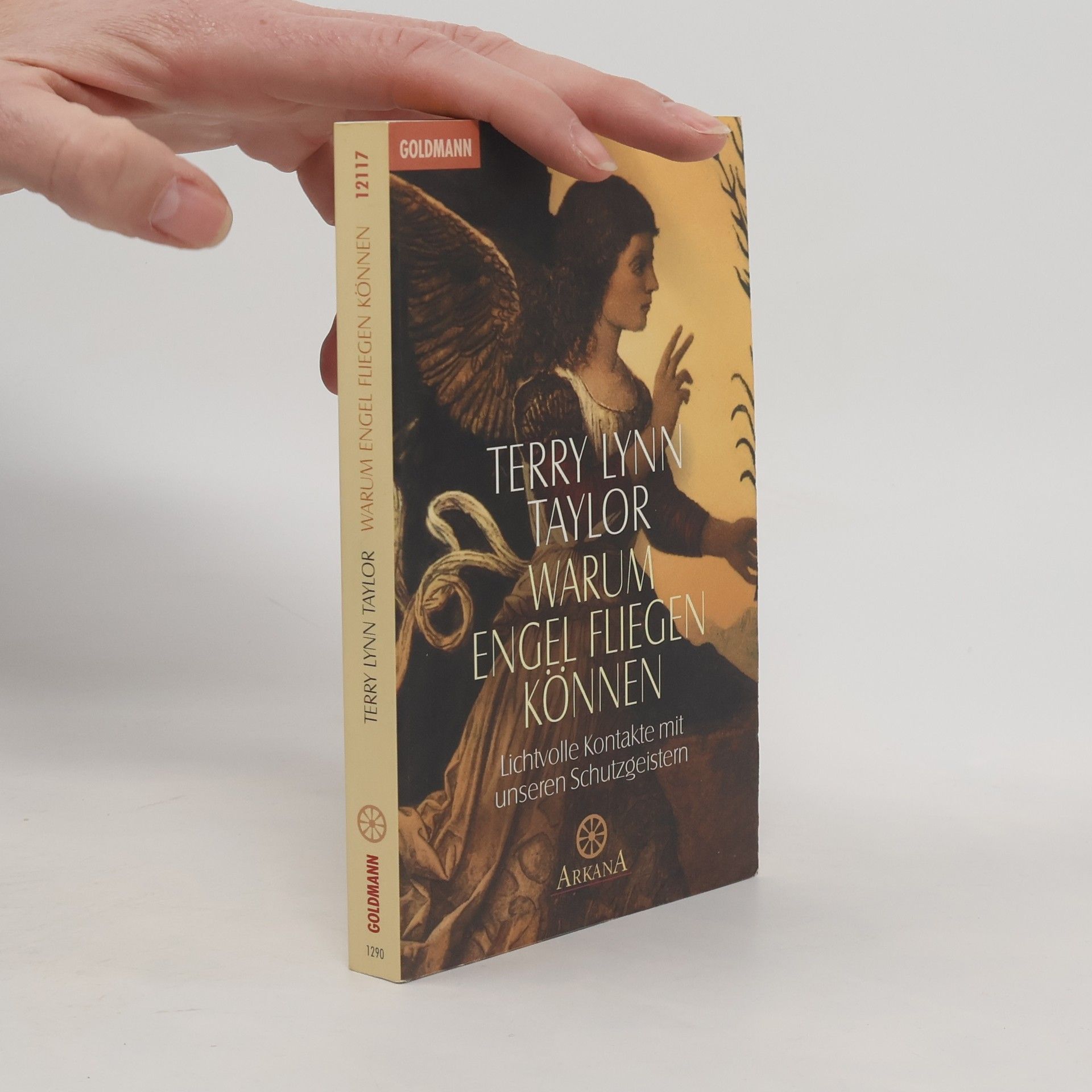 Terry Lynn Taylor Warum Engel Fliegen Können