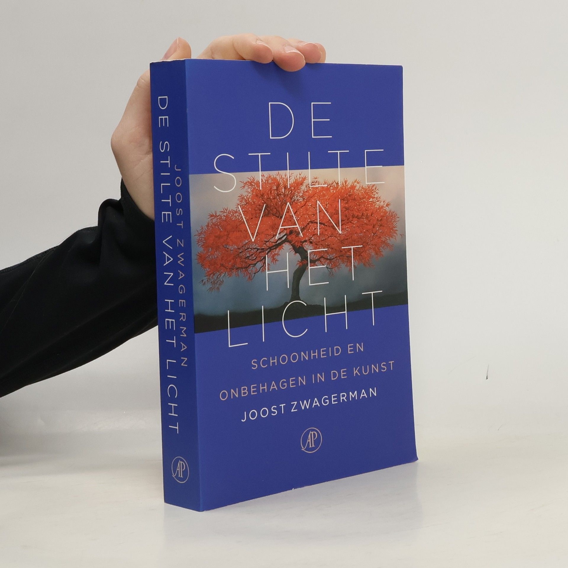 Joost Zwagerman De stilte van het licht