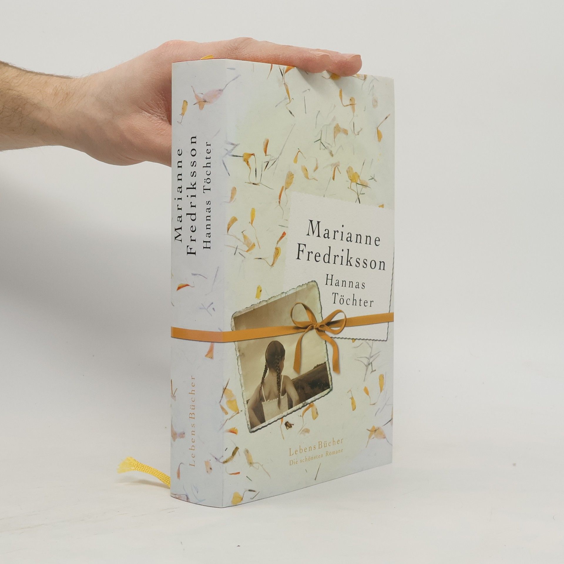 Marianne Fredriksson Hannas Töchter