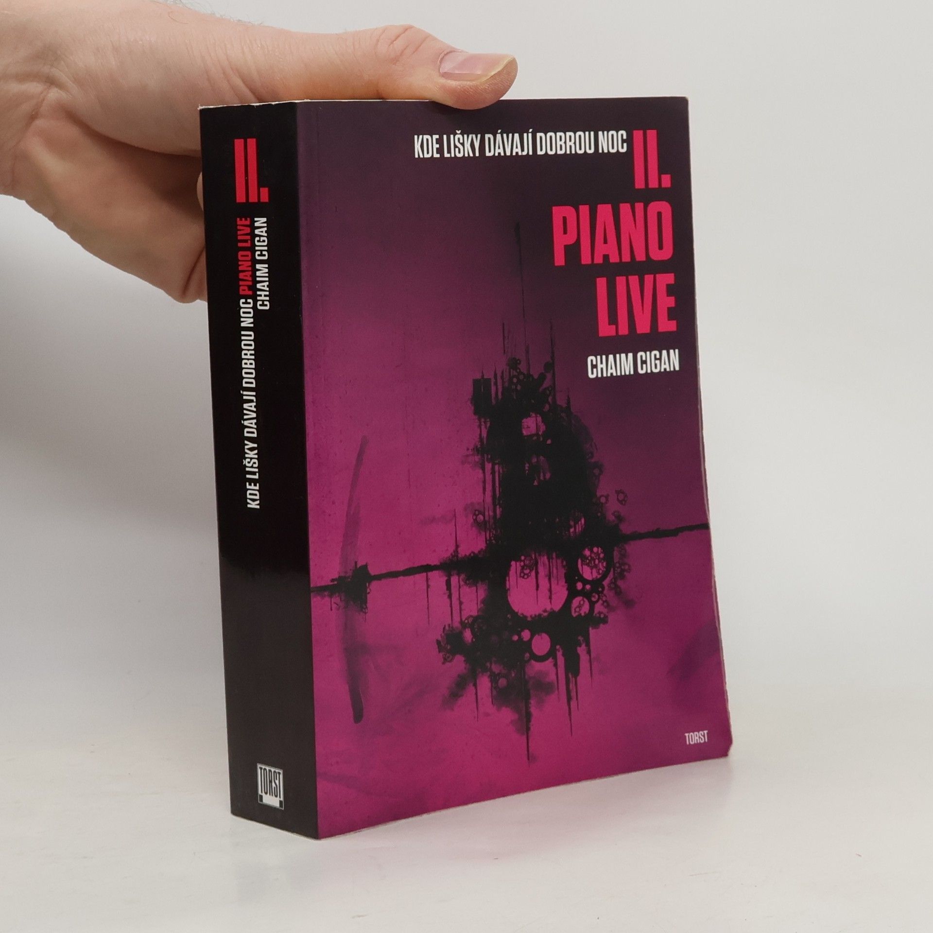 Karol Sidon Kde lišky dávají dobrou noc II. Piano live