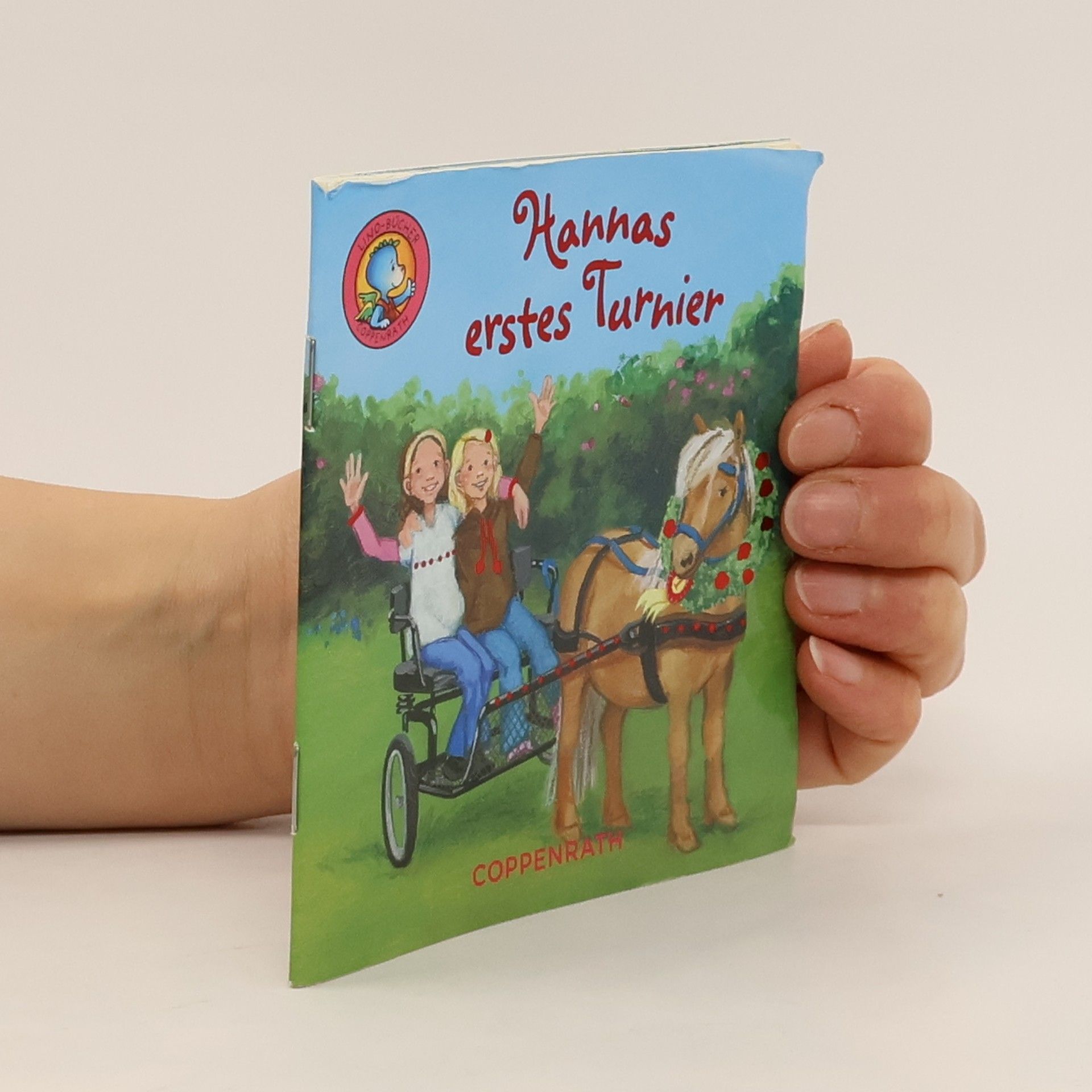 Auteurscollectief Hannas erstes Turnier