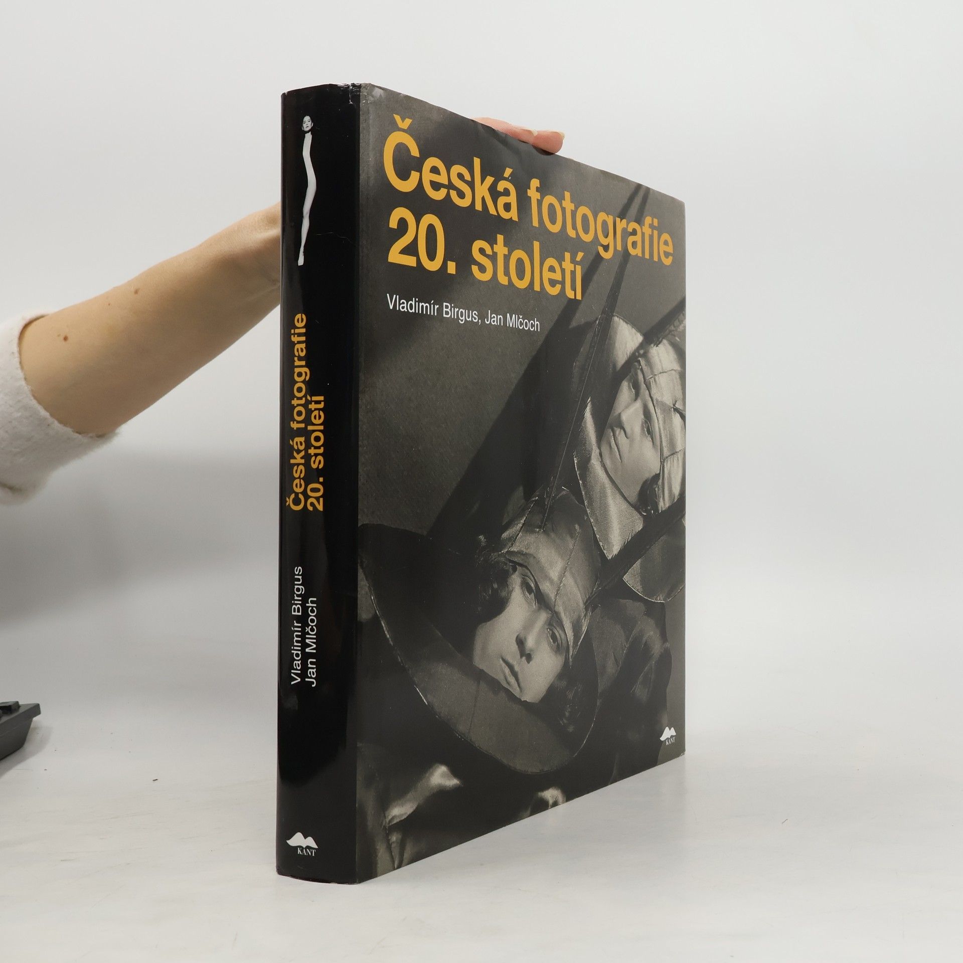 Vladimír Birgus Česká fotografie 20. století