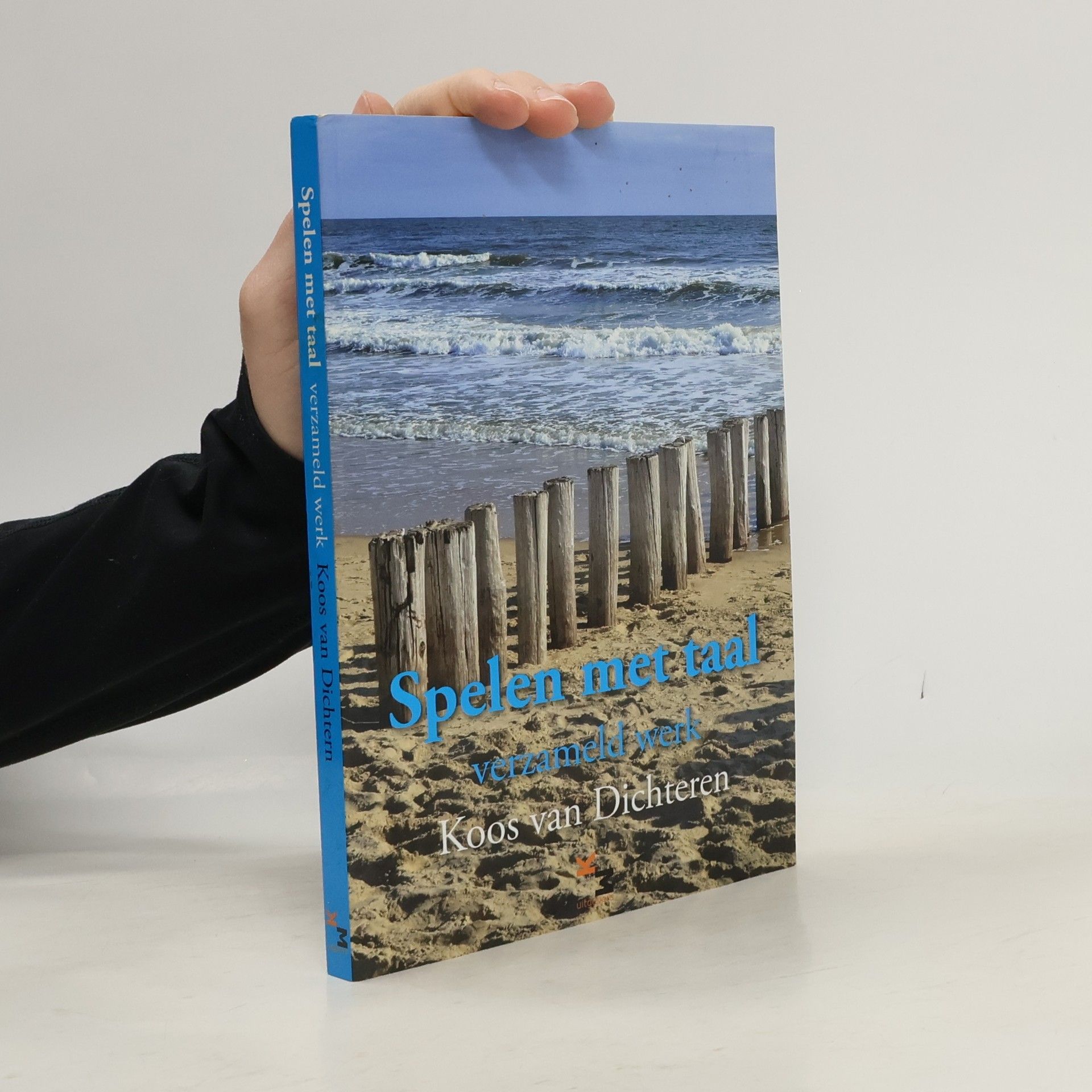 Koos van Dichteren Spelen met taal. Verzameld werk