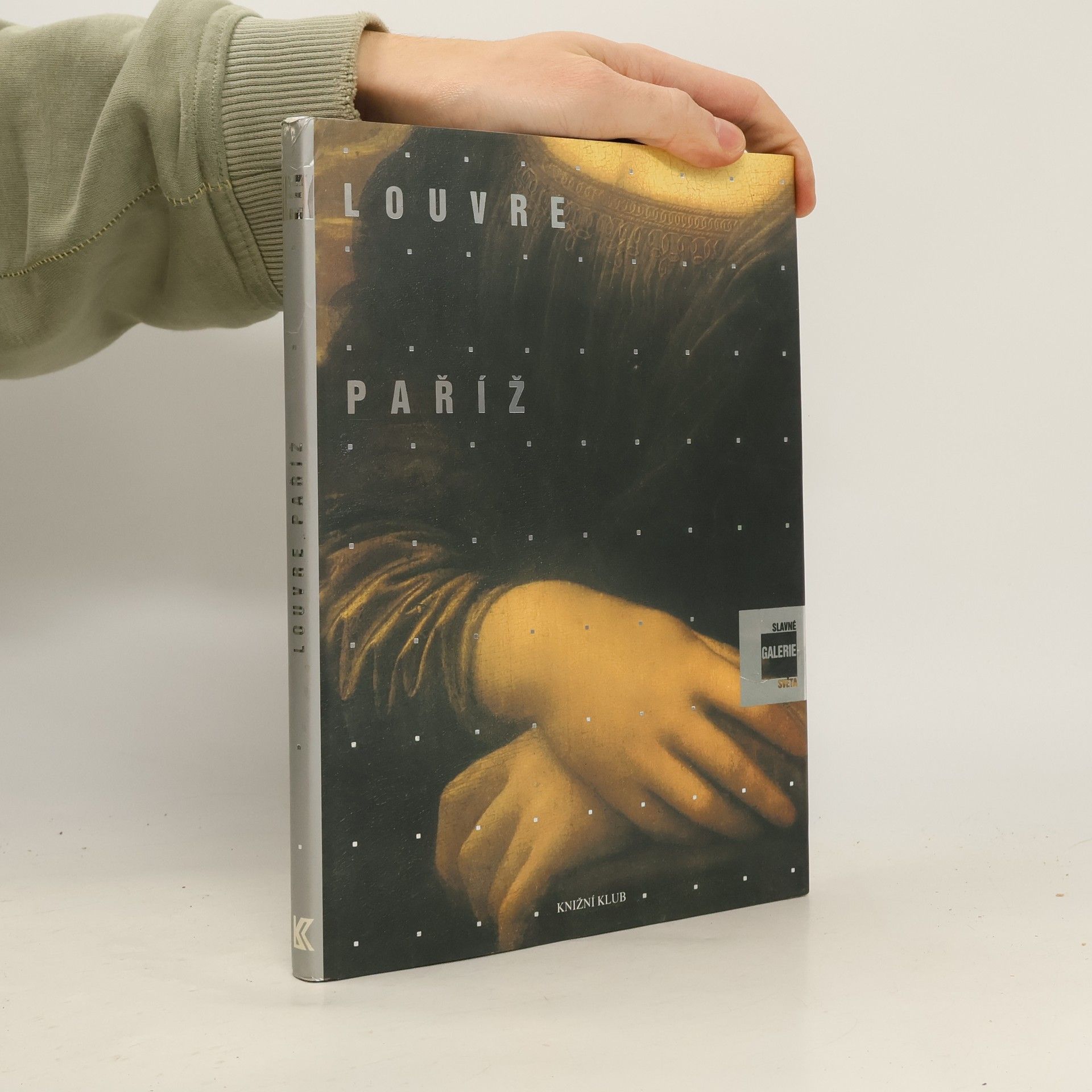 Alessandra Fregolent Slavné galerie světa. Louvre - Paříž