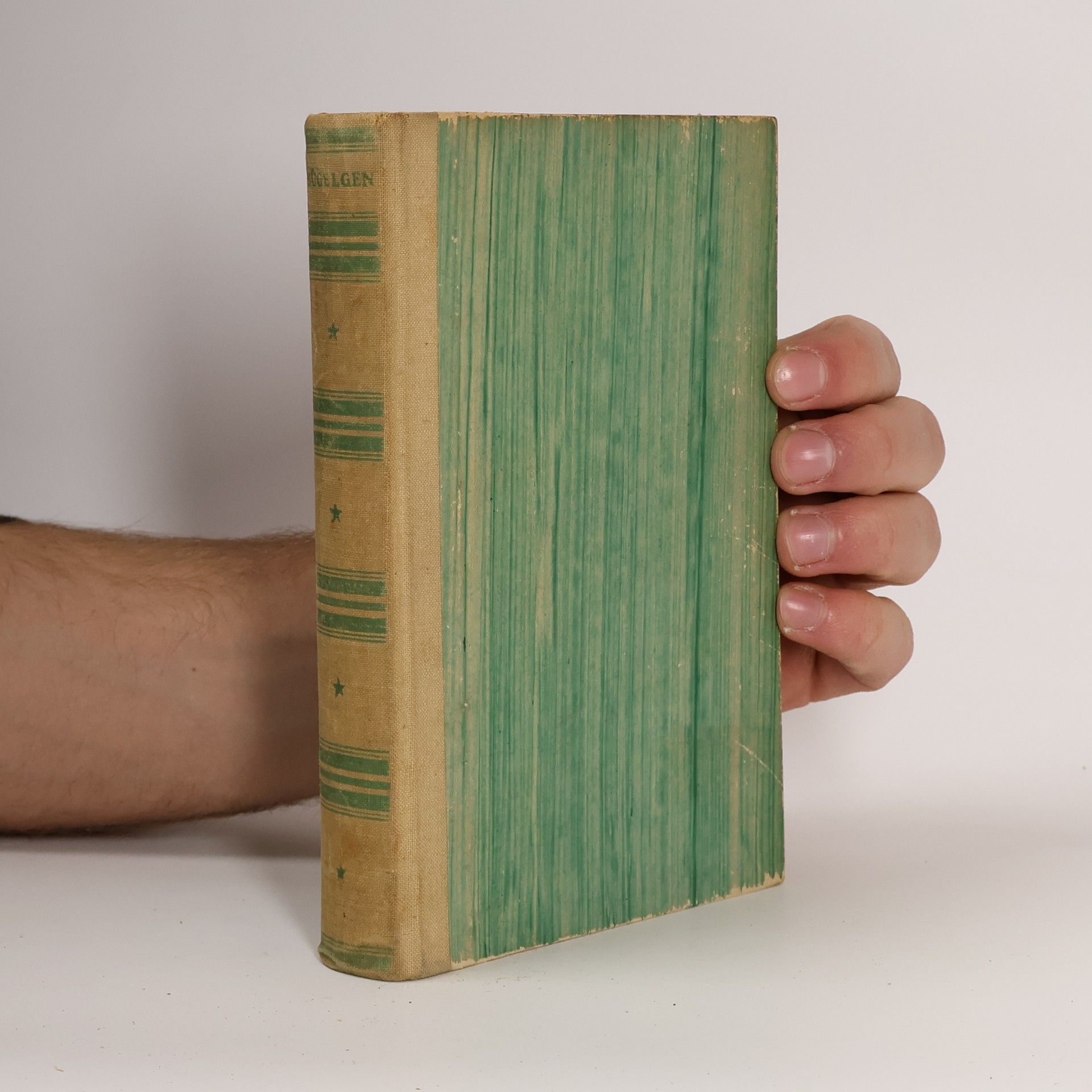 Jugenderinnerungen eines alten Mannes