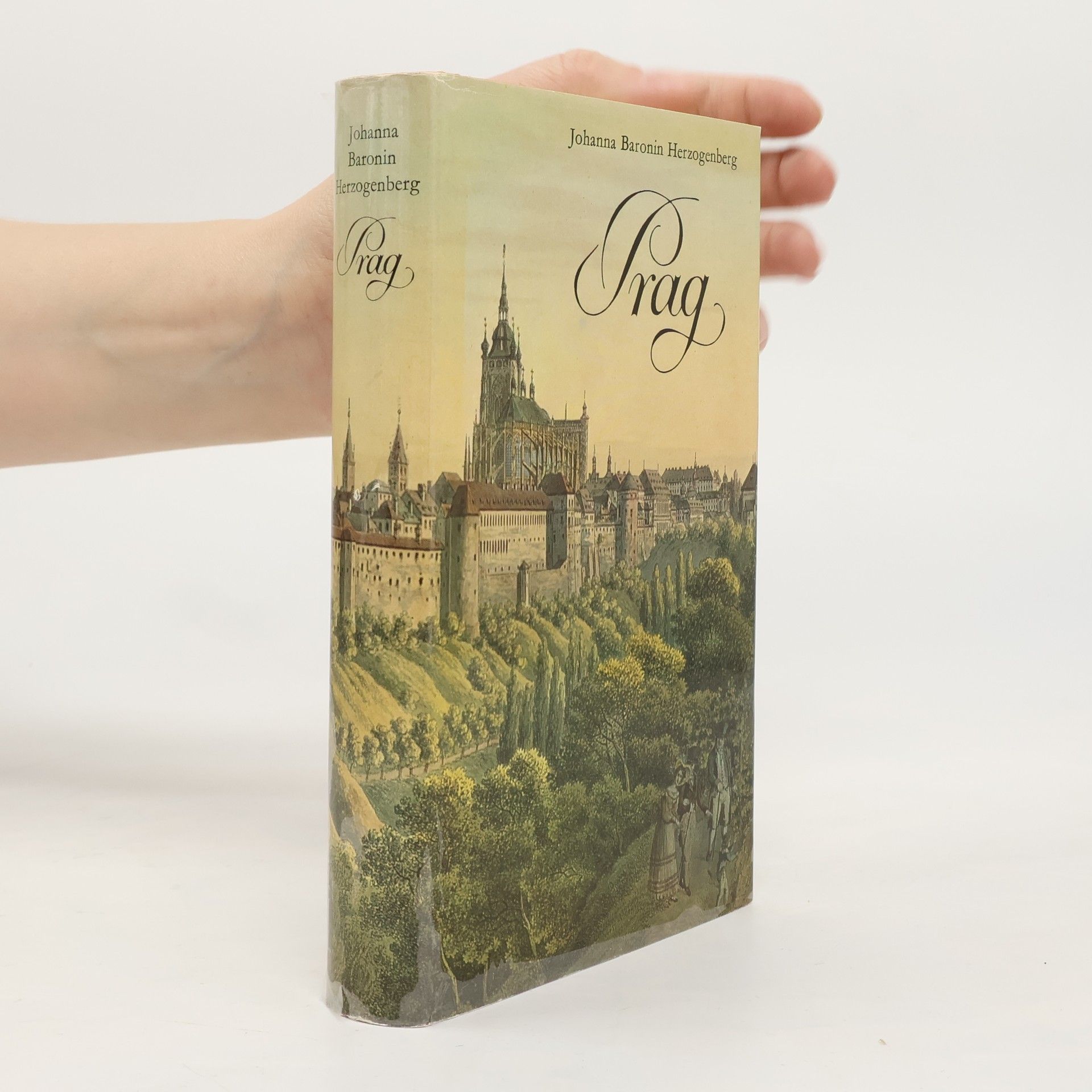 Kolektiv autorů Renaissance in Böhmen