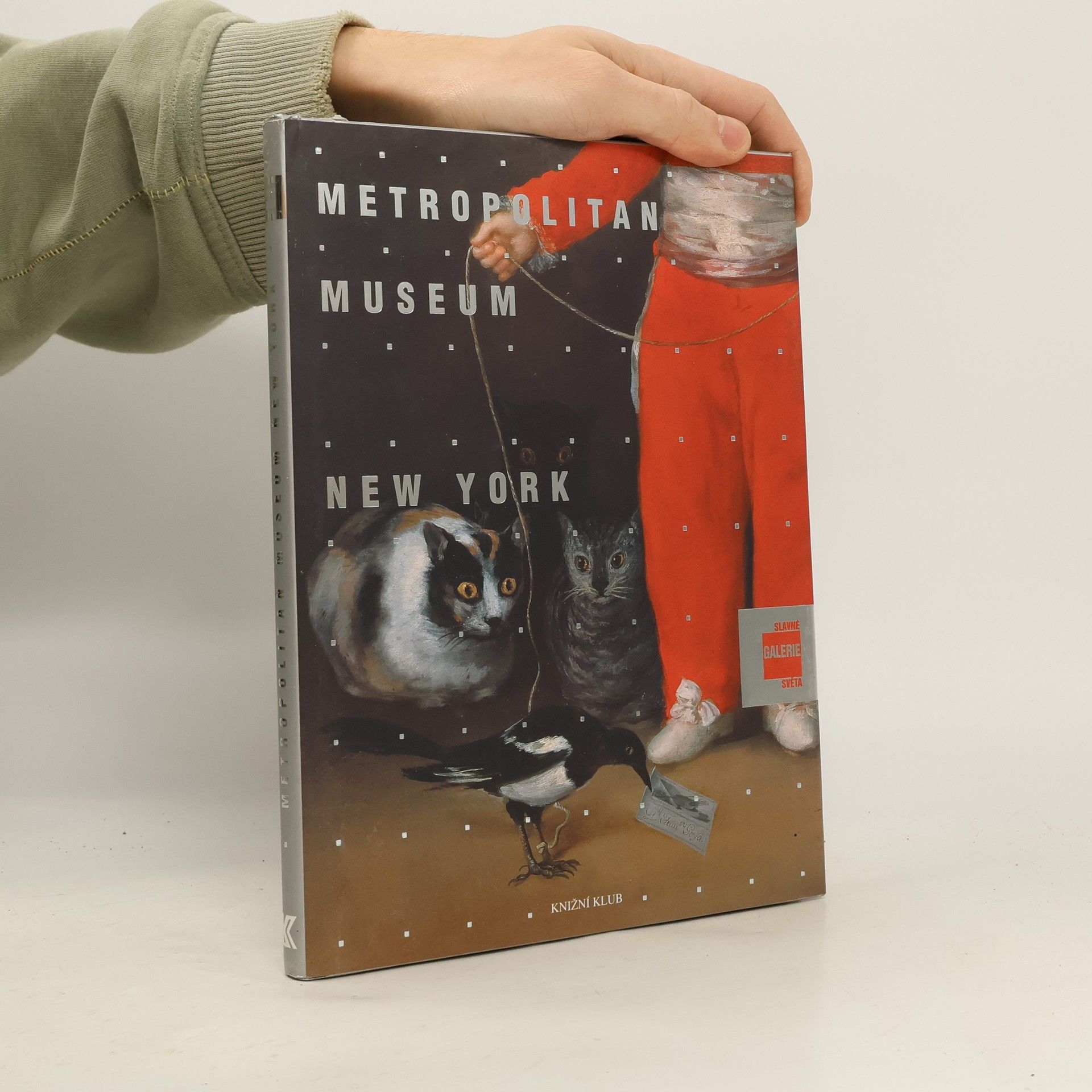 Slavné galerie světa. Metropolitan Museum - New York