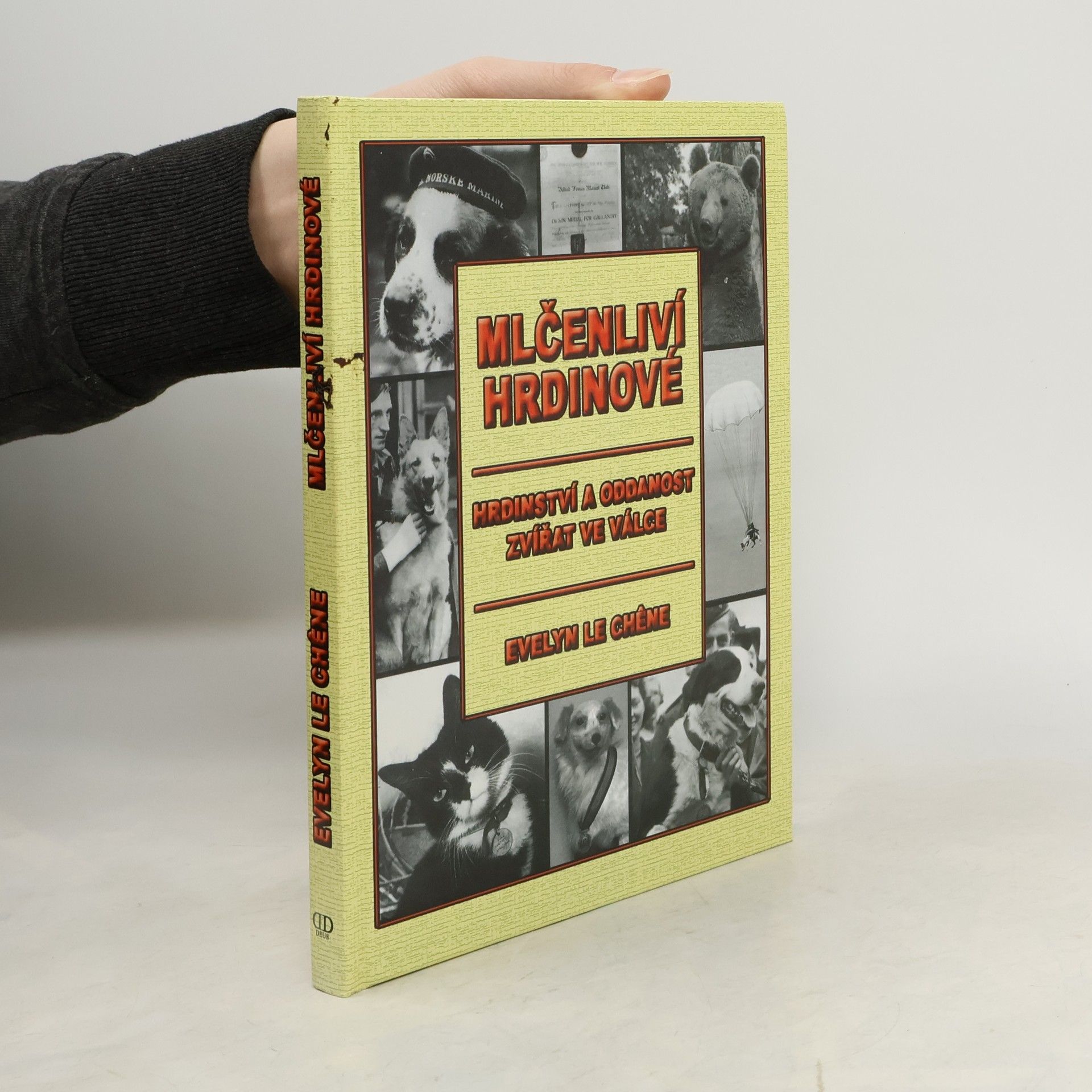 Evelyn Le Chêne Mlčenliví hrdinové