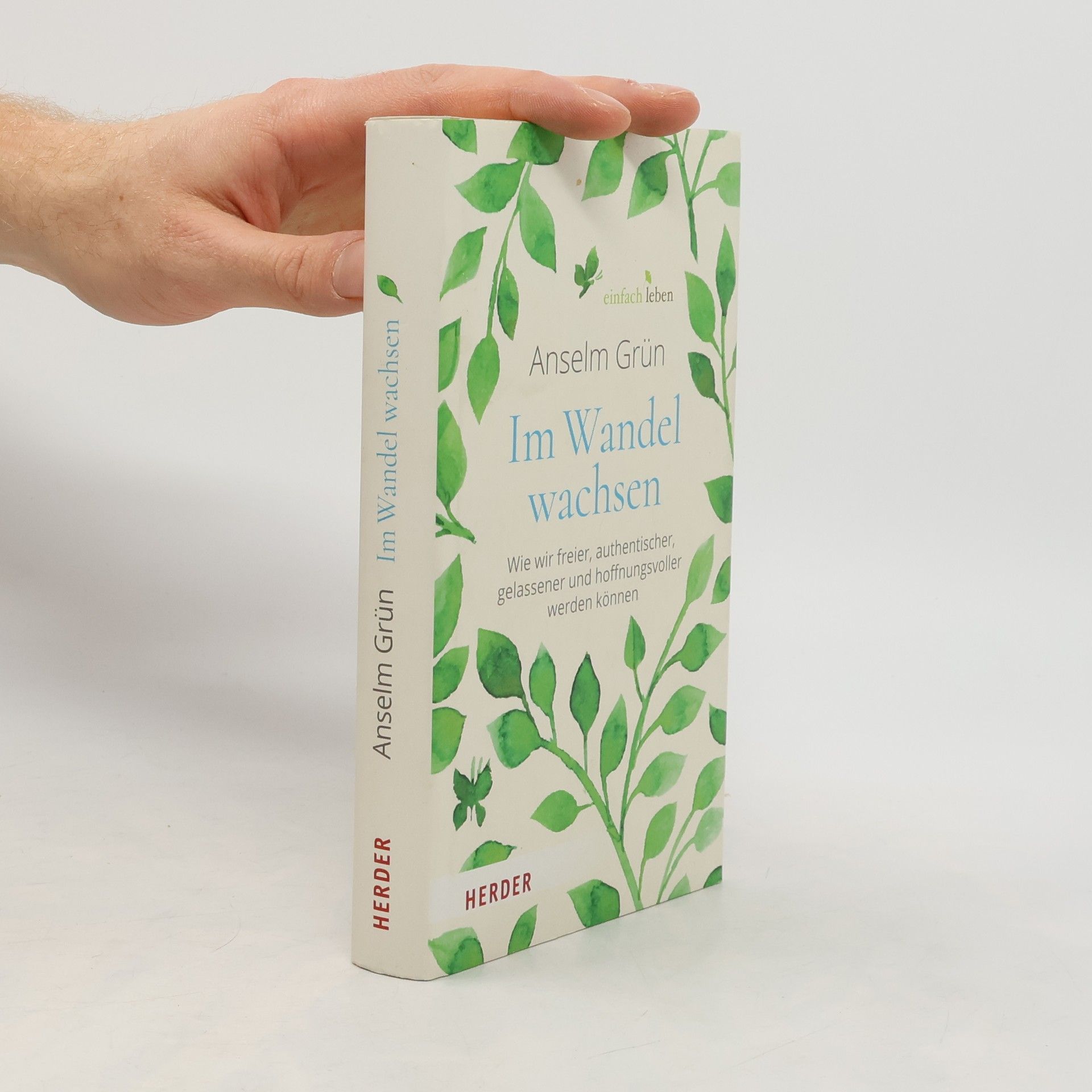 Anselm Grün Im Wandel wachsen
