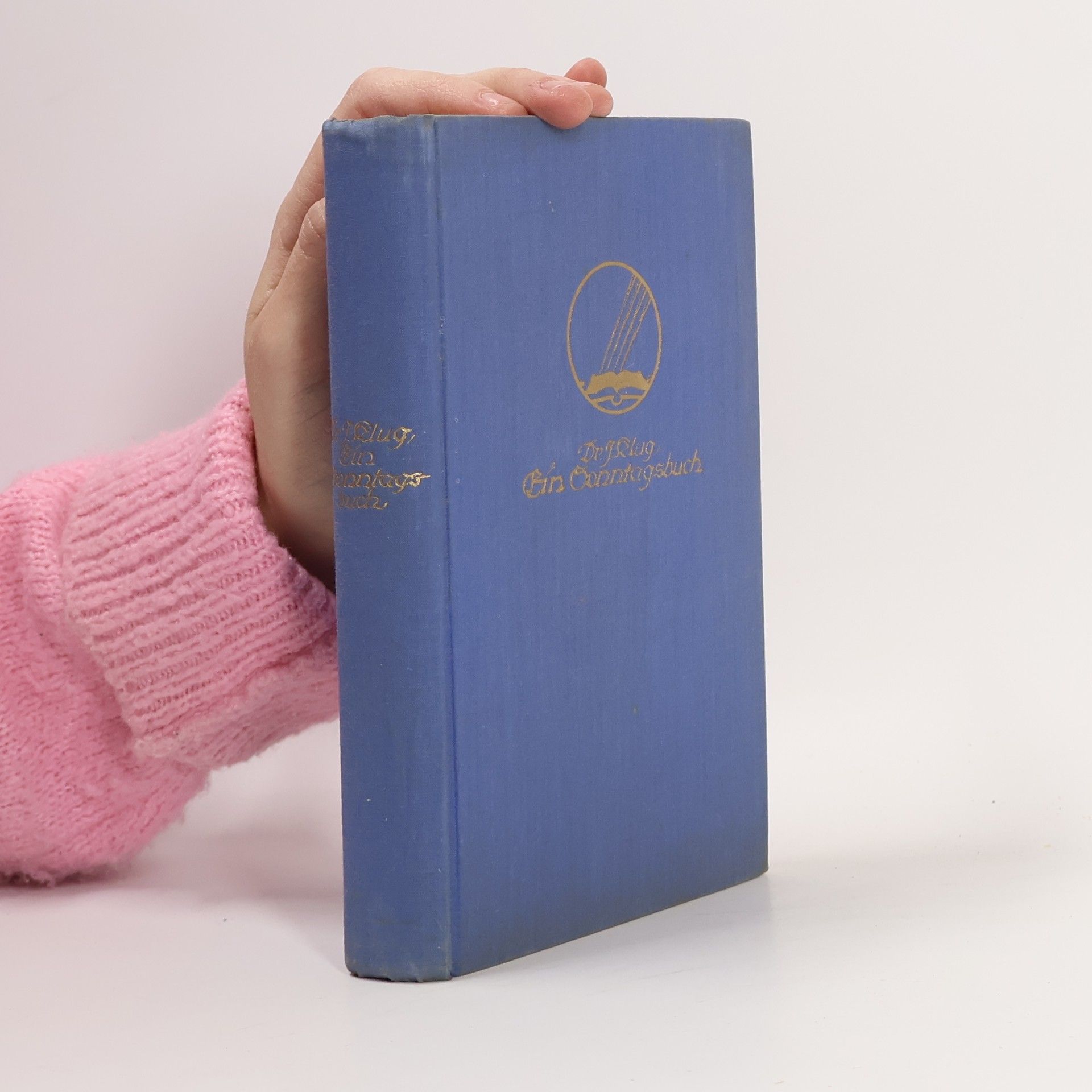 Ignaz Klug Ein Sonntagsbuch