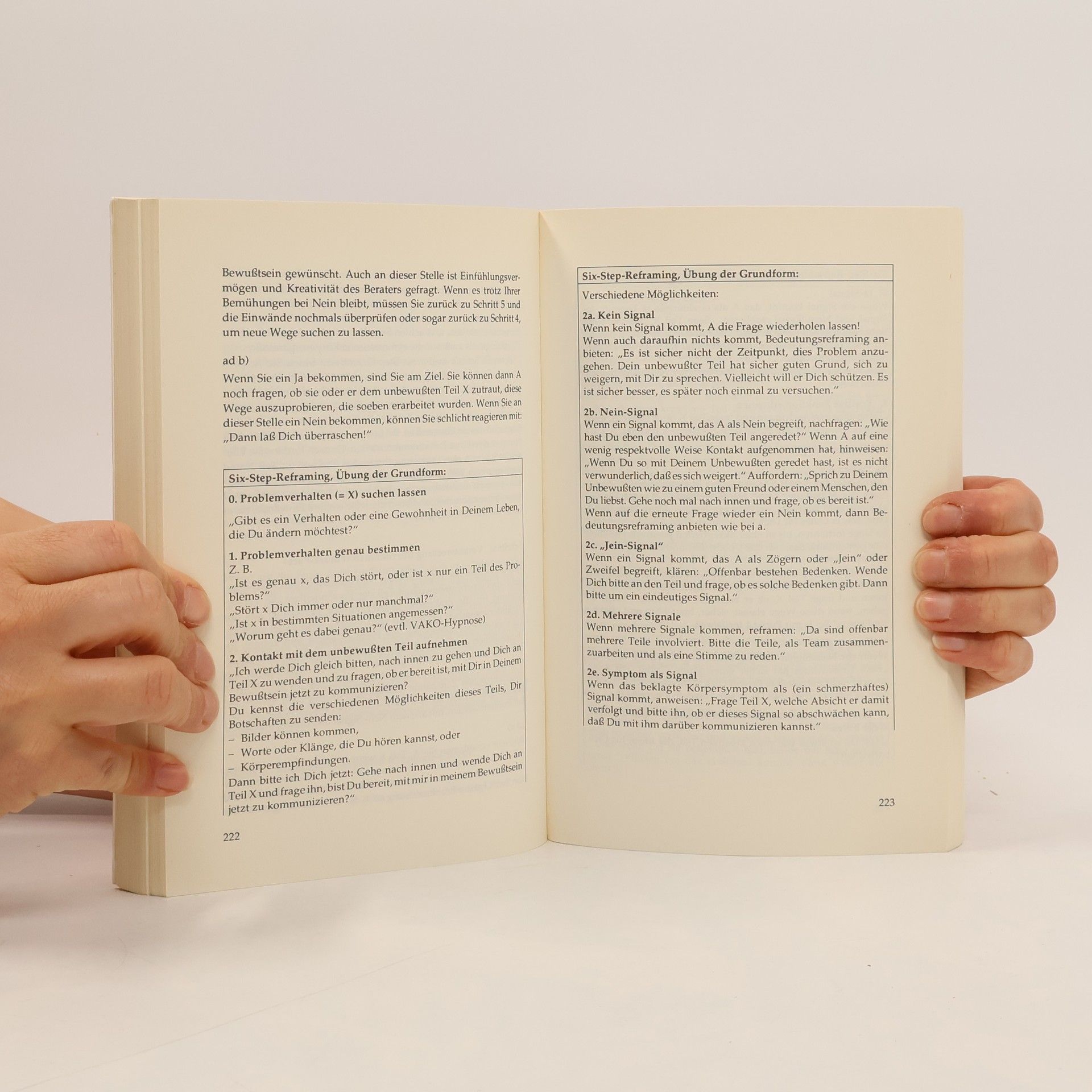 Alexa Mohl Das NLP-Lern- und Übungsbuch