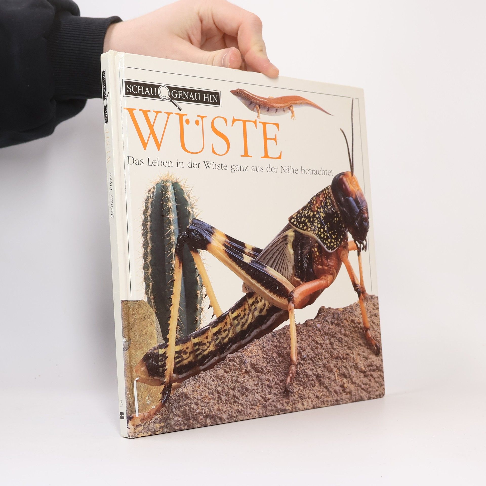 Die liebe lange Woche