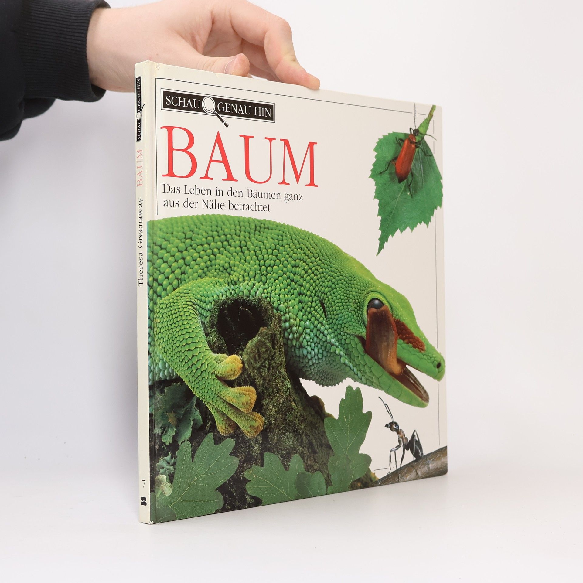 Theresa Greenaway Baum