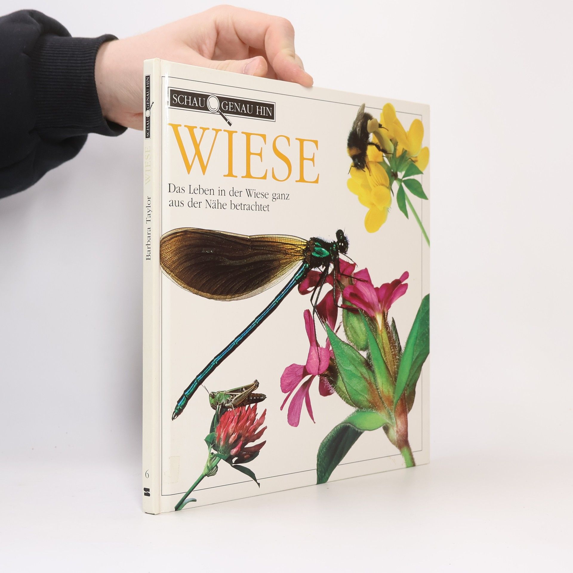 Barbara Taylor Bradford Wiese. Das Leben in der Wiese ganz aus der Nähe betrachtet