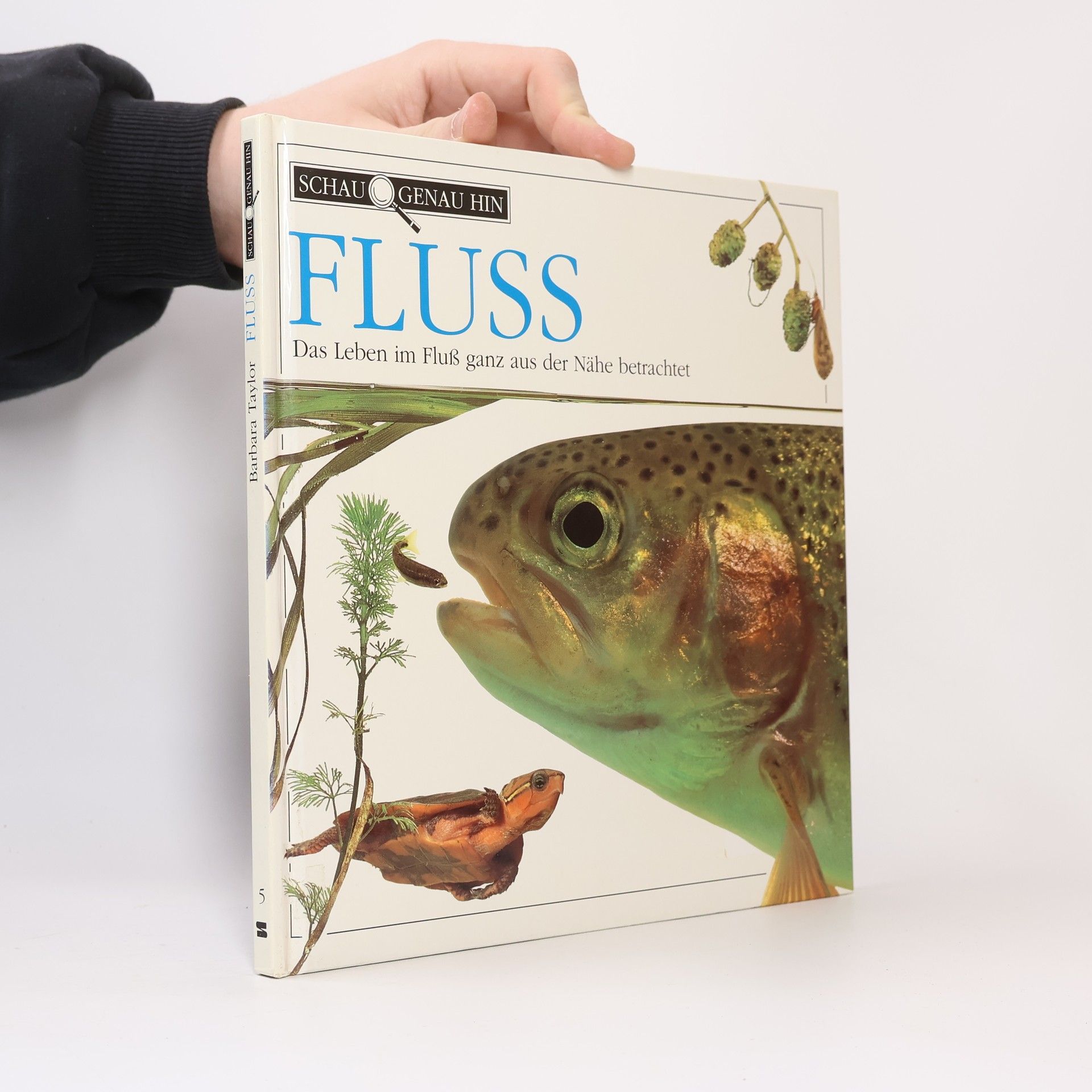 Barbara Taylor Bradford Fluss