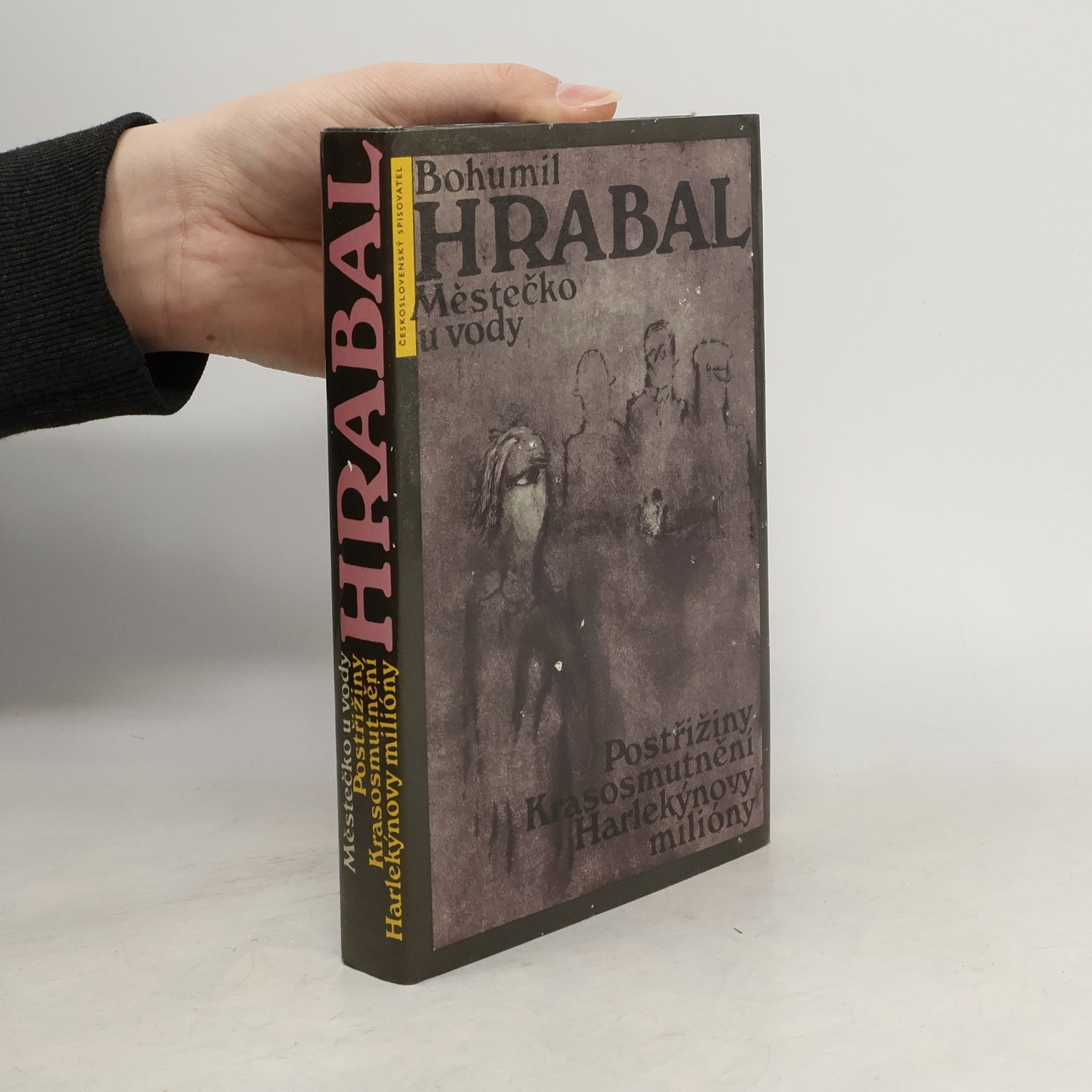 Bohumil Hrabal Městečko u vody