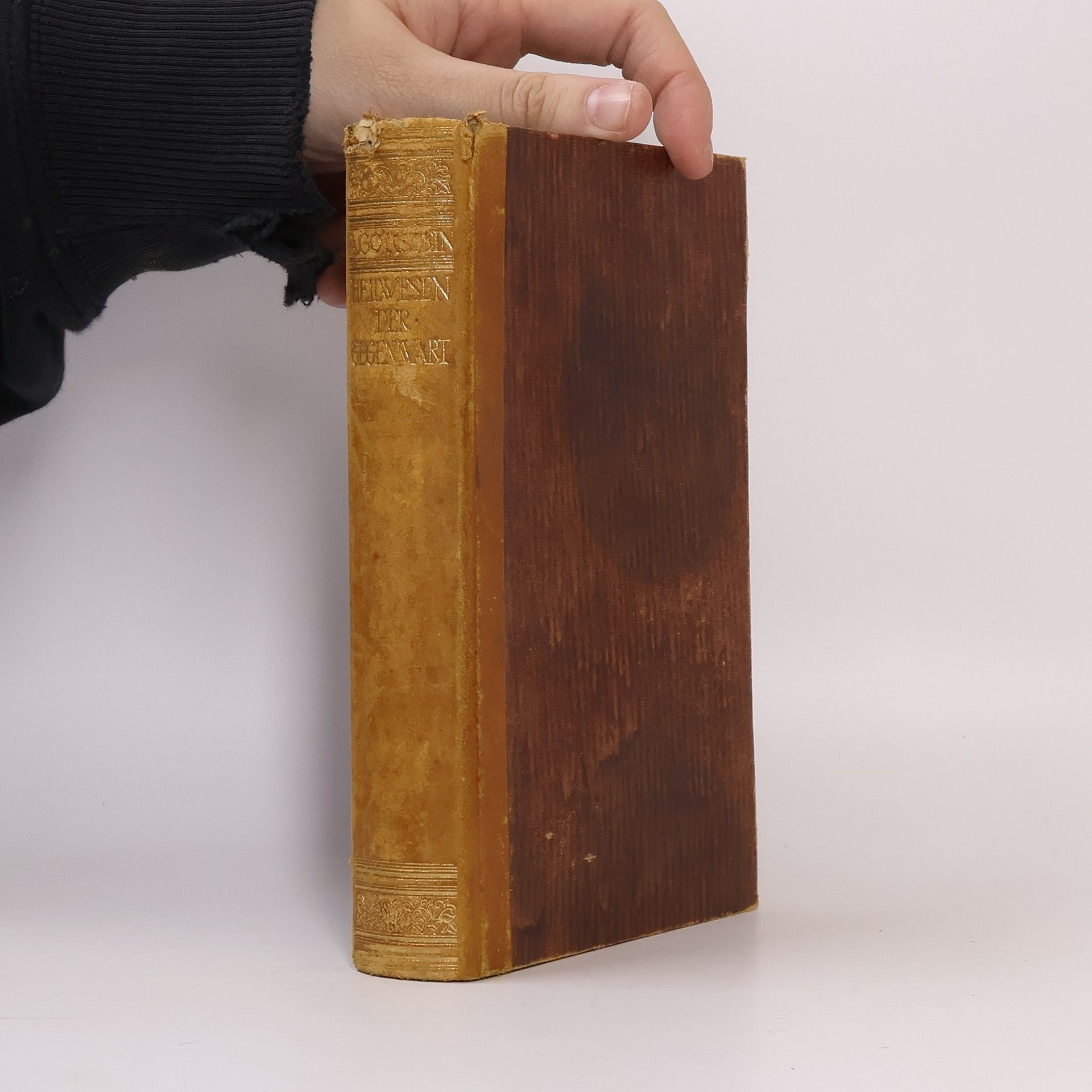 Das Heilwesen der Gegenwart