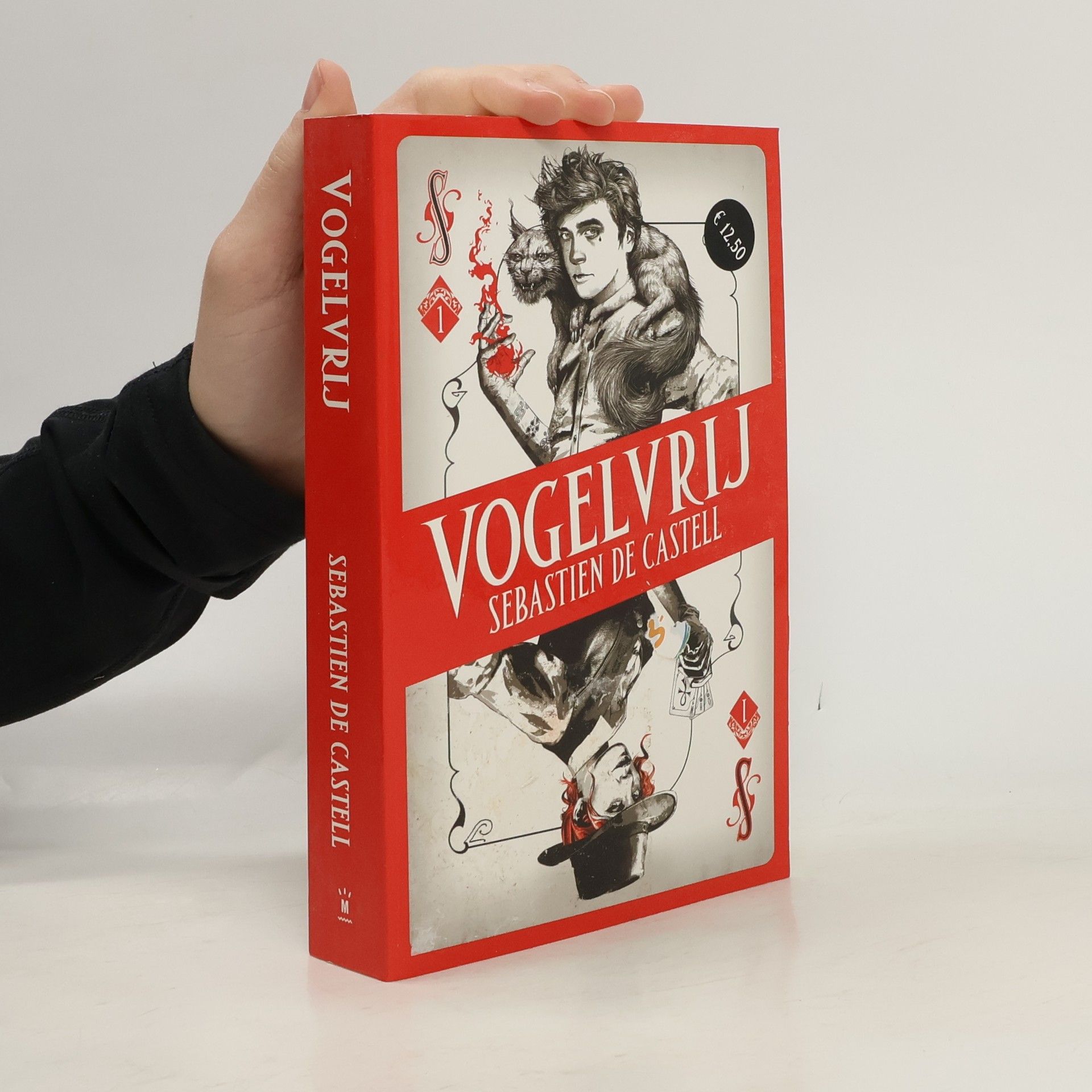 Hanneke van Soest Spellslinger - 1: Vogelvrij