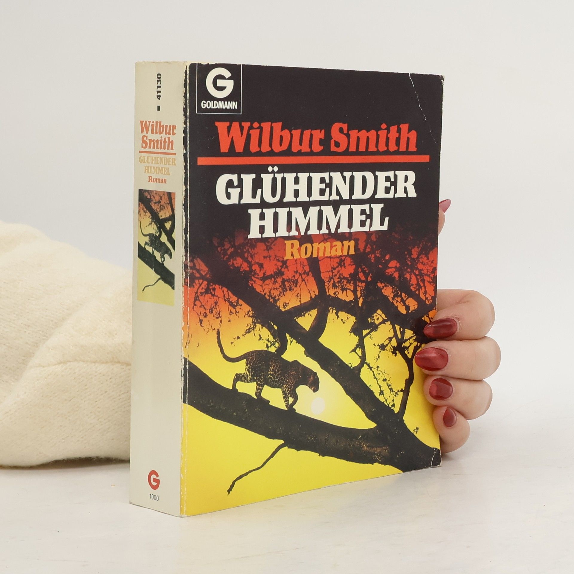 Wilbur Smith Glühender himmel